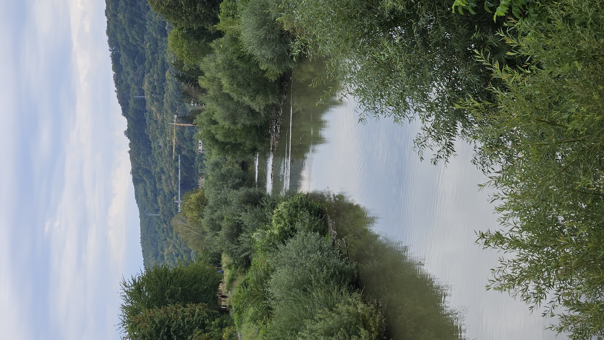 The image depicts a wide, calm river flowing through a lush, green landscape under an overcast sky. Dense foliage lines both banks of the river, with trees and bushes extending towards the water's edge. In the distance, a verdant, tree-covered hill rises, topped with a few structures and what appear to be construction cranes, suggesting ongoing development or infrastructure projects. A single power line pylon is visible on the hillside. The river's surface reflects the muted tones of the sky and surrounding vegetation. A few dark shapes, possibly ducks or debris, are visible on the water in the mid-ground. The foreground features more dense greenery, framing the view of the river and the distant hillside. There are no visible individuals in the immediate vicinity of the riverbanks or on the water. The scene conveys a sense of natural tranquility, contrasted with the distant signs of human activity. This scenery is consistent with the landscape along the Torysa River within the city of Prešov, Slovakia, particularly in areas where the river flows past green spaces and towards the outskirts of the city.