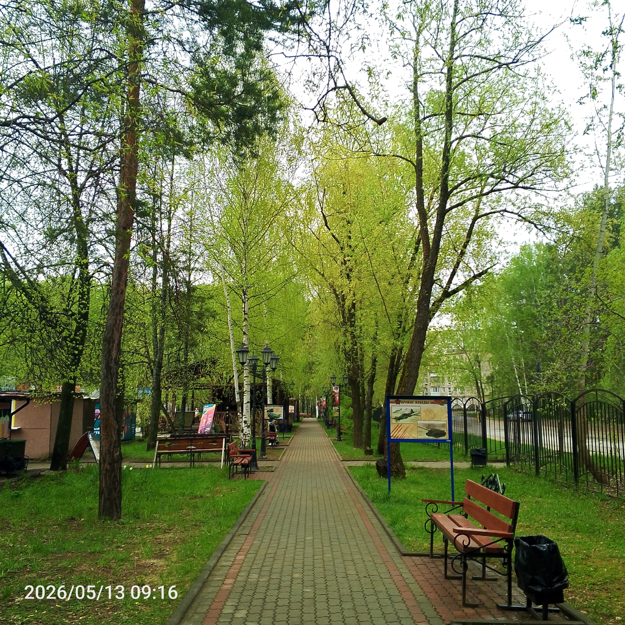 This is a view of a paved pathway in what appears to be a park or memorial area in Chaikovsky, Russia. The path is lined with trees, mostly showing fresh spring foliage. There are benches along the pathway, some with accompanying trash receptacles. On either side of the path, there are signs or informational displays. Fencing is visible on the right side of the path. The date "2026/05/13 09:16" is imprinted on the bottom left of the image.