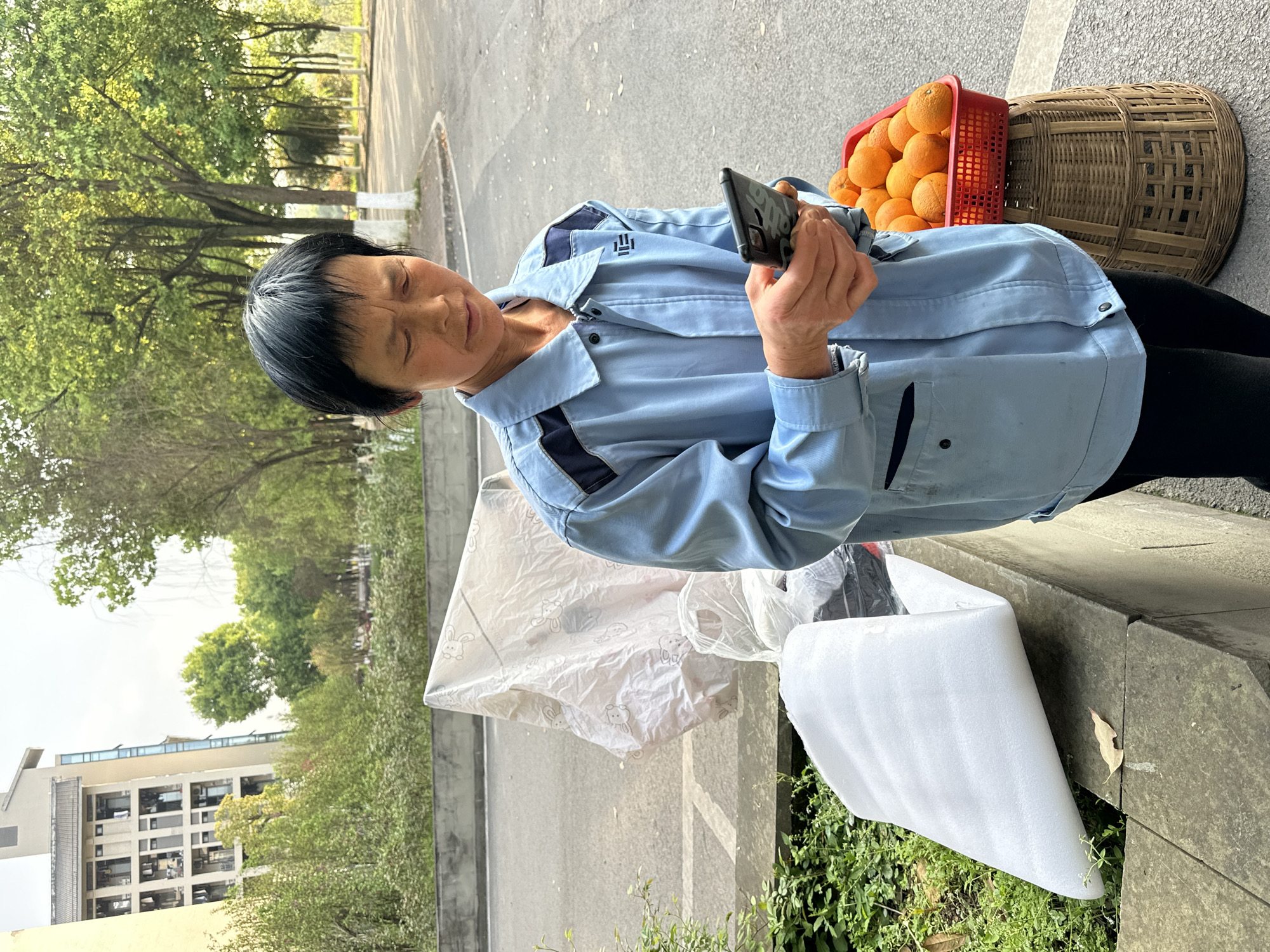 This image depicts an outdoor scene in the city of Jiangjin, China. One individual, an adult female with short dark hair, is shown in a three-quarter view, looking down and focused on a black smartphone held horizontally with both hands. She is wearing a light blue long-sleeved jacket with dark blue shoulder accents and dark trousers. To her right, a red plastic basket filled with oranges rests on a woven bamboo stand. To her left, on a concrete barrier, are items including a folded white foam sheet and crumpled white plastic sheeting, some with a faint rabbit pattern. The background features an asphalt surface with a white line, a line of green-leafed trees with some trunks painted white, and in the far left, multi-story buildings under an overcast sky. Green foliage is visible behind the concrete barrier in the midground.