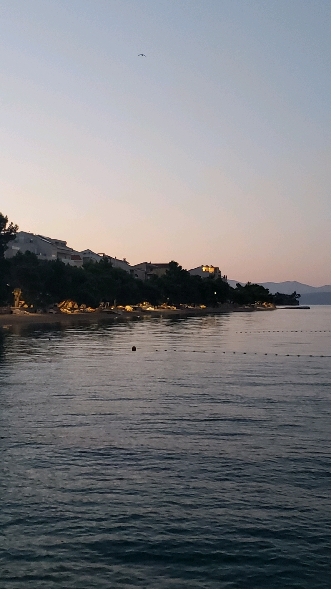 The image depicts a tranquil coastal scene at dusk in Općina Tučepi, Croatia. The sky is a soft gradient of pale blue and pink, with a solitary bird in flight. Below the sky, a line of buildings with illuminated windows is nestled amongst dark green trees along the shoreline. The buildings appear to be hotels or residences, suggesting a resort town. A beach area is visible, with scattered beach chairs and umbrellas. The sea in the foreground is calm, with gentle ripples reflecting the fading light. A buoy and a string of buoys mark a section of the water. The overall atmosphere is peaceful and serene, characteristic of an evening by the Adriatic Sea.