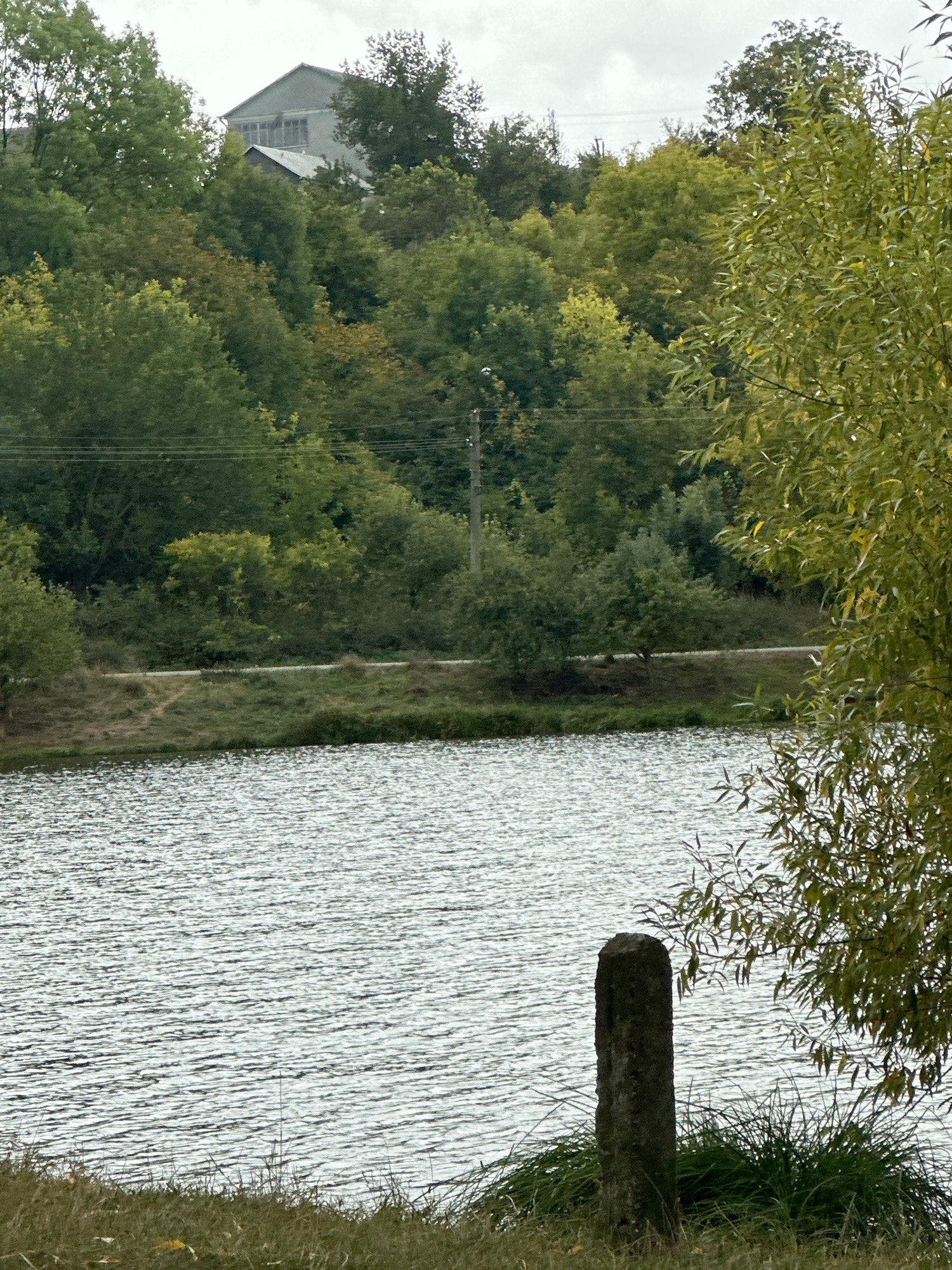 The image depicts a body of water, likely a river or lake, with a rippling surface reflecting the overcast sky. In the foreground, on the bank, a weathered stone post stands amidst dry grass and some green vegetation. Beyond the water, a treeline dominates the middle ground, with a road or path winding through the grassy embankment. In the background, a multi-story building with a grey roof and visible windows is partially obscured by dense foliage. The overall scene appears to be located in a rural or semi-rural area, consistent with a location in the city of Makiv, Ukraine, characterized by natural elements and modest man-made structures. There are no people or animals visible in the image.