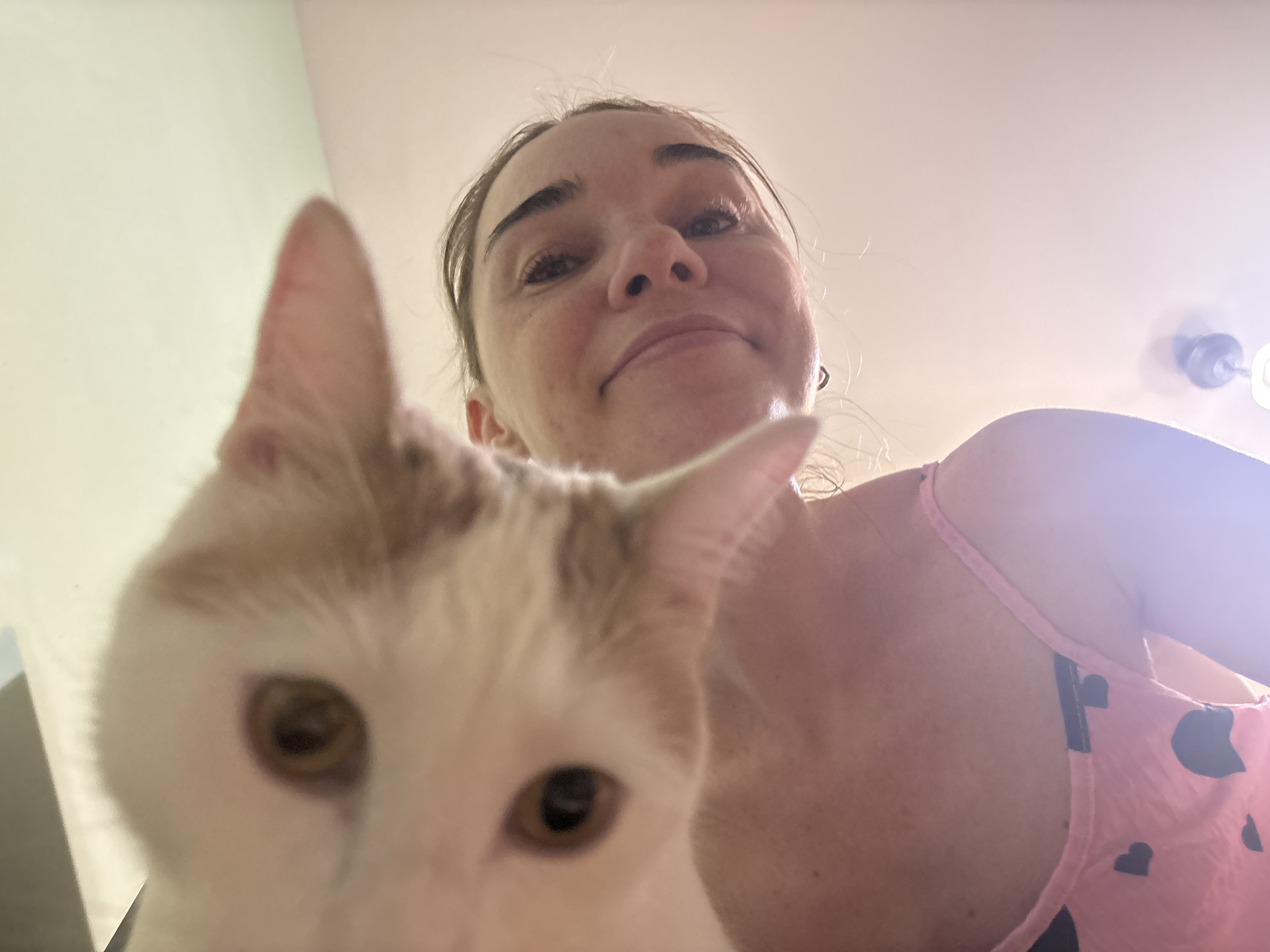 A low-angle, indoor shot shows a person and a cat looking down at the camera. The person, a female with dark hair and eyebrows, is smiling and appears to be wearing a pink top with a heart pattern. A white and orange cat is in the foreground, obscuring part of the person's face. The background is a plain, light-colored wall or ceiling. The lighting is bright, suggesting a well-lit room.