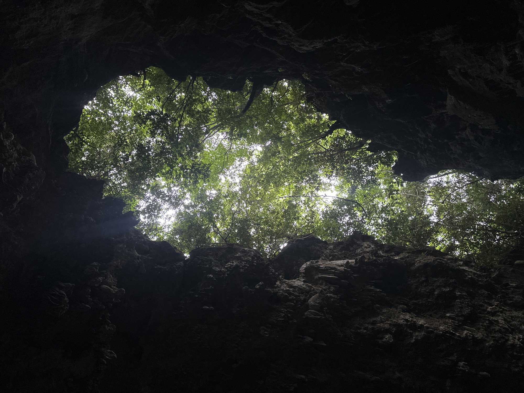 This is a low-angle, vertical shot looking up from inside a cave opening, towards the sky and surrounding trees. The cave walls are dark and textured, with rough, rocky surfaces. Sunlight filters through the dense green foliage of trees visible in the sky, creating a dappled effect. The scene is dark and natural, suggesting a jungle or forest environment. It is an image taken from within a cave looking out towards the natural world. The specific location in Mai Chau, Vietnam is unknown from the image alone.
