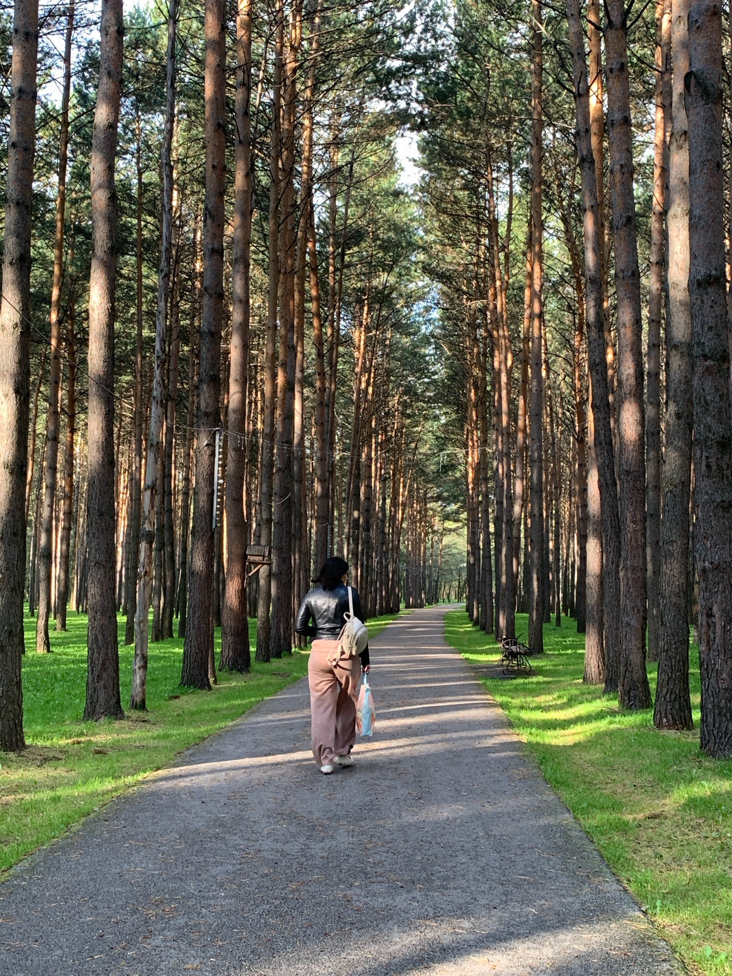 The image depicts a paved pathway through a dense pine forest. The pathway is lined on both sides by tall, slender pine trees with their trunks casting long shadows across the path. The ground on either side of the path is covered in lush green grass. In the distance, the pathway curves gently to the right, disappearing into the trees.
A lone individual, viewed from behind, is walking away from the camera down the pathway. They are wearing a black jacket, loose-fitting tan pants, and white shoes. They are carrying a beige backpack over their right shoulder and a multi-colored plastic bag in their right hand. The individual appears to be walking at a moderate pace.
The environment suggests a park or a recreational area within a forested region. The presence of a paved path indicates it is maintained for public use. The overall atmosphere is serene and natural.
This scene is consistent with the appearance of the "Prokopyevsk Pine Forest" located in Prokopyevsk, Russia, known for its picturesque walking trails through a pine plantation.