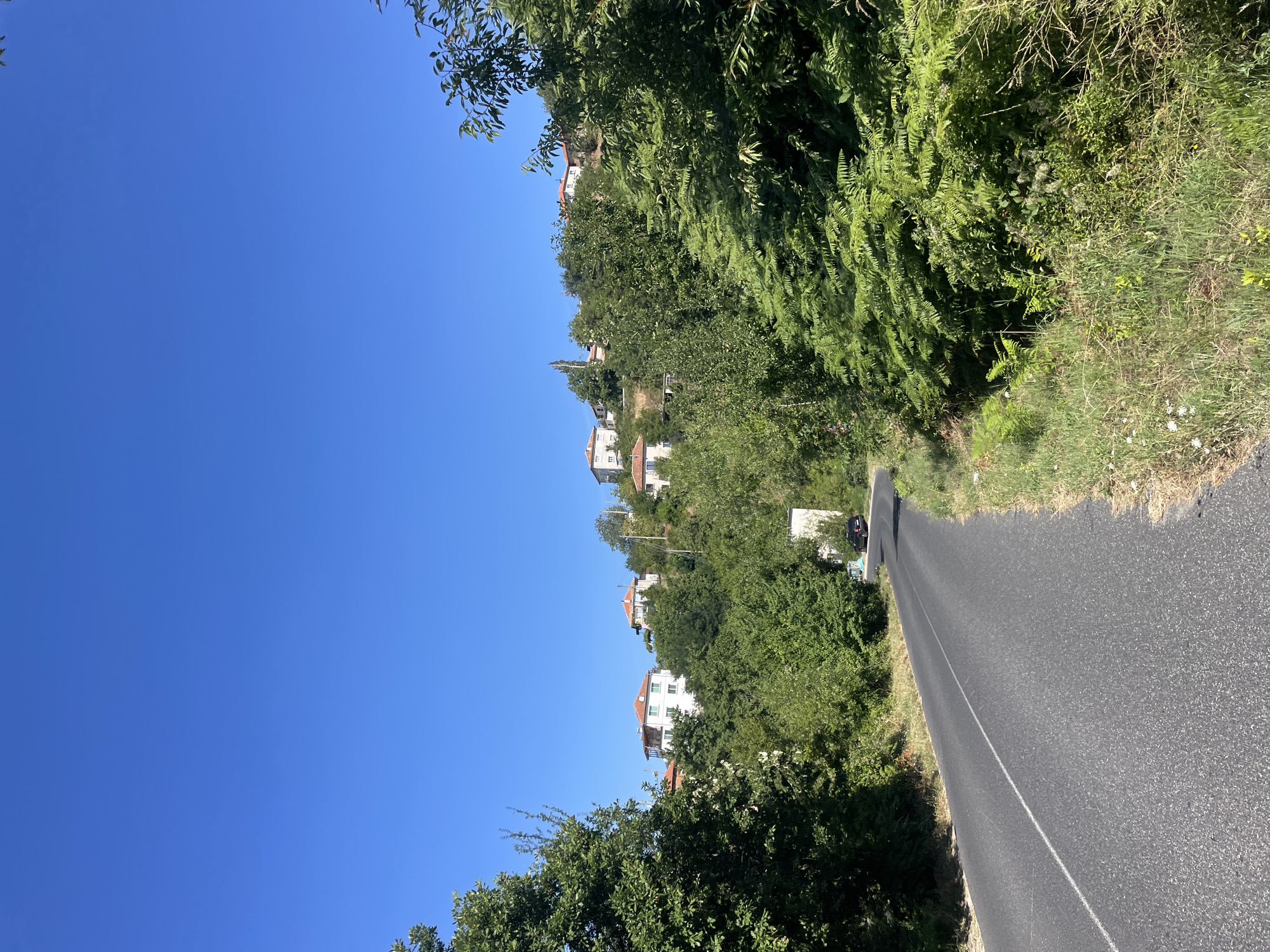 The image captures a winding asphalt road leading through a lush, green landscape under a clear, bright blue sky. On either side of the road, dense foliage and trees create a natural corridor. Beyond the trees, on a gentle slope, a cluster of white houses with red-tiled roofs are visible. The architecture suggests a village setting. A dark-colored car is parked on the side of the road in the distance. The scene appears tranquil and picturesque, characteristic of a rural area in the Rhodope Mountains. This view is consistent with locations found in the village of Banite, Bulgaria, known for its natural beauty and mountainous terrain.