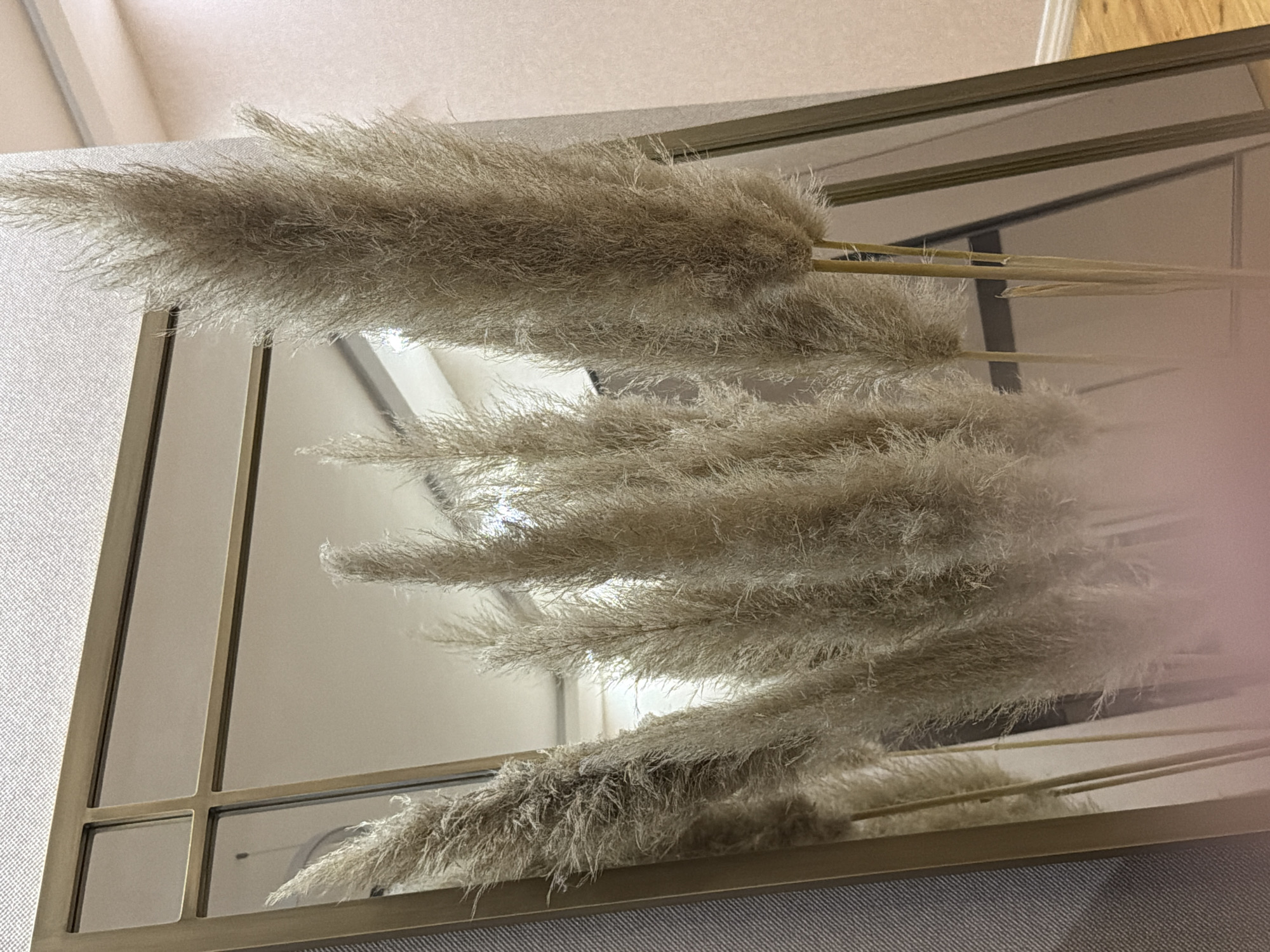 A close-up, medium shot captures a tall, decorative bunch of dried pampas grass standing in front of a large, rectangular mirror with a gold-colored frame. The mirror is divided into sections by thin, horizontal and vertical bars, creating a grid-like appearance. The pampas grass plumes are fluffy and feathery, with a light beige to taupe color. Their reflections are visible in the mirror, appearing slightly less sharp than the actual stalks. The background consists of a textured, light-colored wall to the left and a pinkish-beige wall to the right, with a sliver of a wooden floor visible at the bottom right. The scene is indoors, in a domestic setting. There are no people or animals present in the image. The location is not specified within the image itself, and therefore the city of Sabirabad, Azerbaijan cannot be determined.
