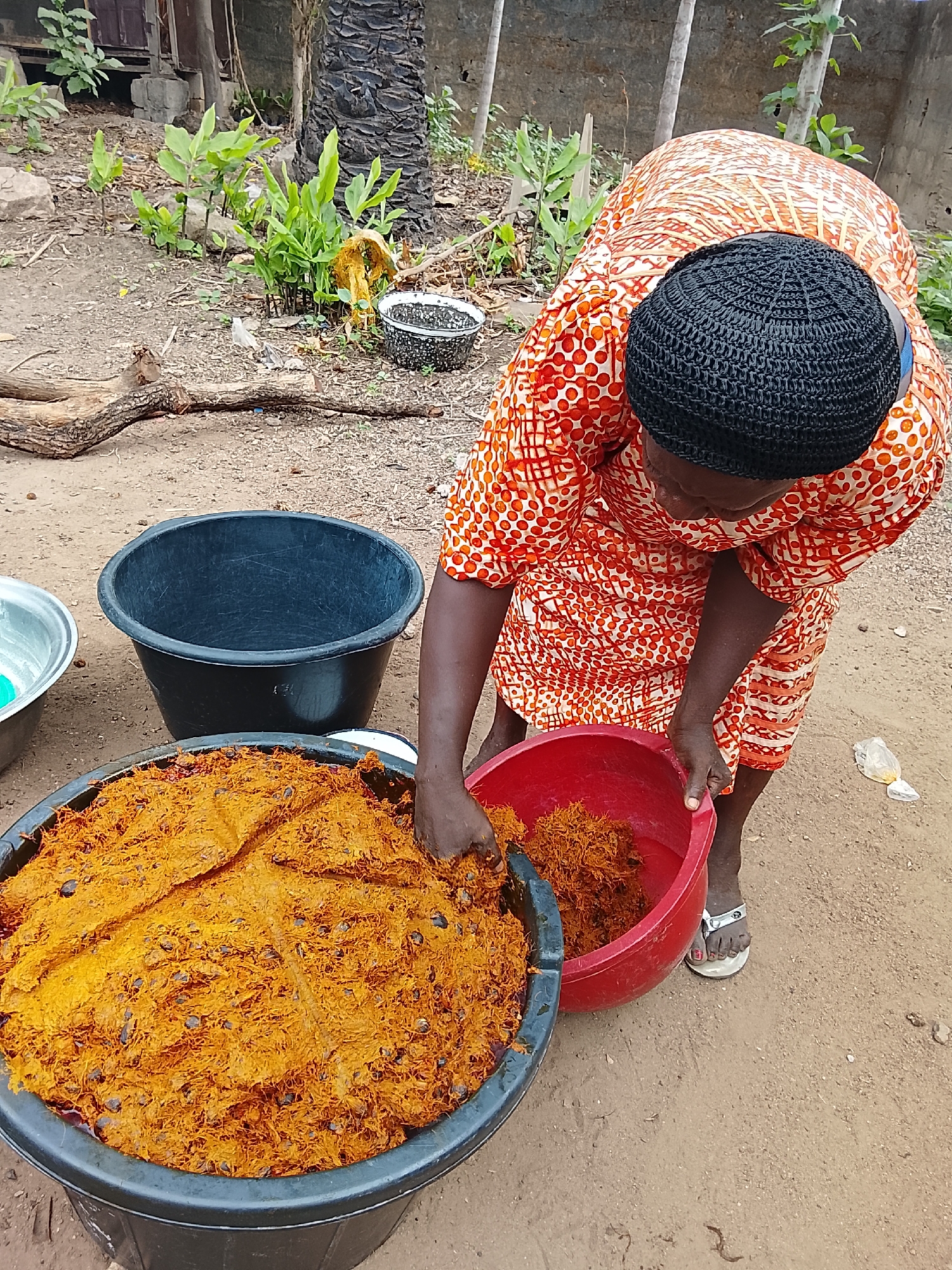 An overhead view captures an individual, likely a woman, actively engaged in an outdoor task. She is bent forward, wearing an orange dress with a white speckled and striped pattern, and a dark, intricately crocheted cap. Her hands are immersed in a large, black circular basin filled with a substantial quantity of bright orange, fibrous material, which strongly resembles palm fruit mash or chaff. She is transferring this material into a smaller, red plastic basin held between her knees.
The setting is outdoors on a bare, sandy ground. To the left of the large black basin, an empty black basin and a metallic silver bowl are visible. In the background, there is sparse green vegetation, the dark, textured trunk of a tree (possibly a palm), and what appears to be a weathered wooden structure or part of a building. A dry tree branch lies on the ground behind the work area. The natural daylight suggests it is daytime, with soft shadows indicating morning or late afternoon. The woman's bare feet, one clad in a light-colored sandal, are visible on the ground. The image depicts a focused, manual processing activity, likely related to palm oil production or other agricultural work. No text is visible in the image.