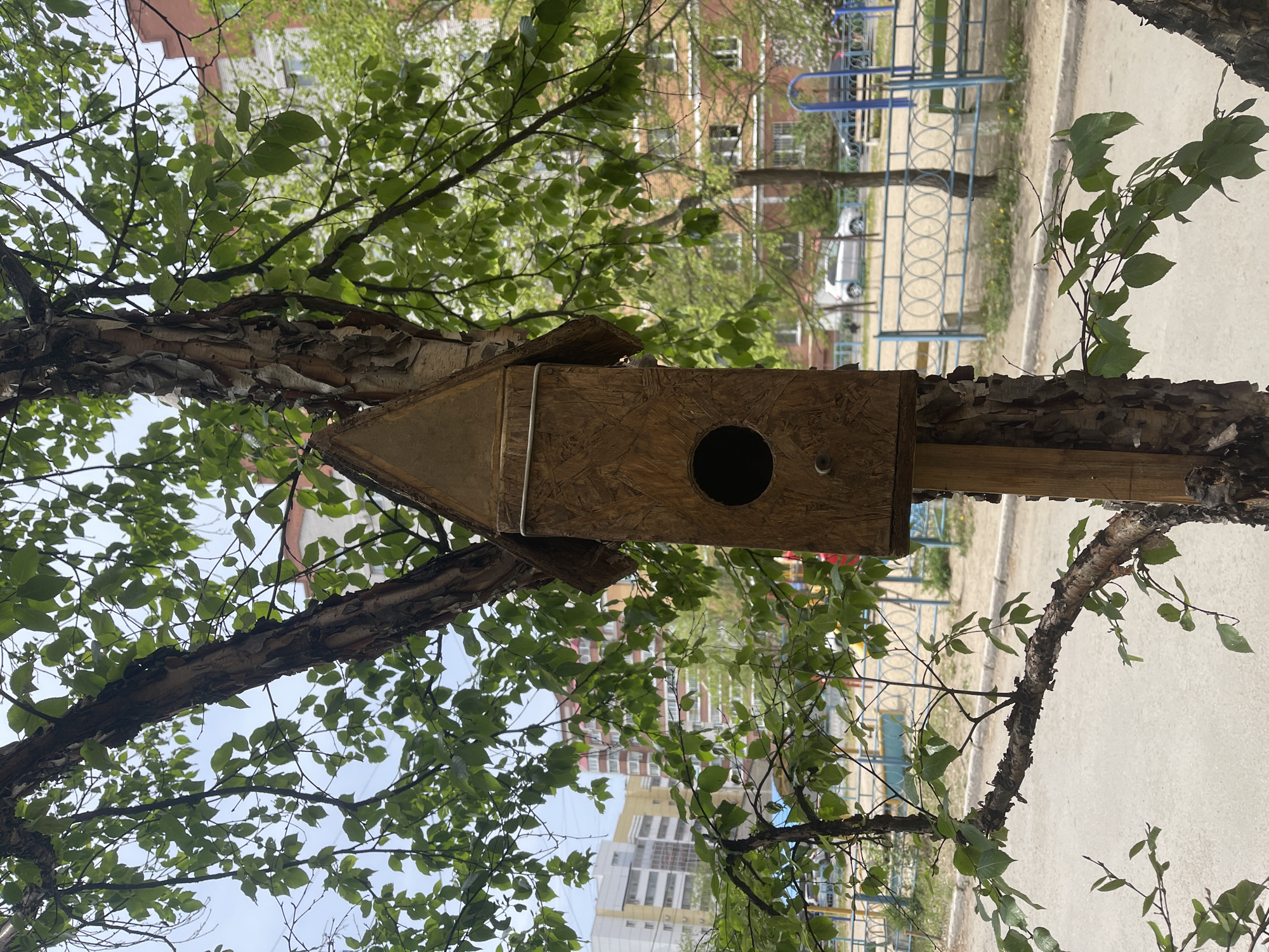 A wooden birdhouse with a round entrance hole is mounted on a tree branch. The tree has green leaves and textured bark. In the background, there's a playground with blue fences and a light-colored sidewalk. Tall buildings are visible behind the trees.