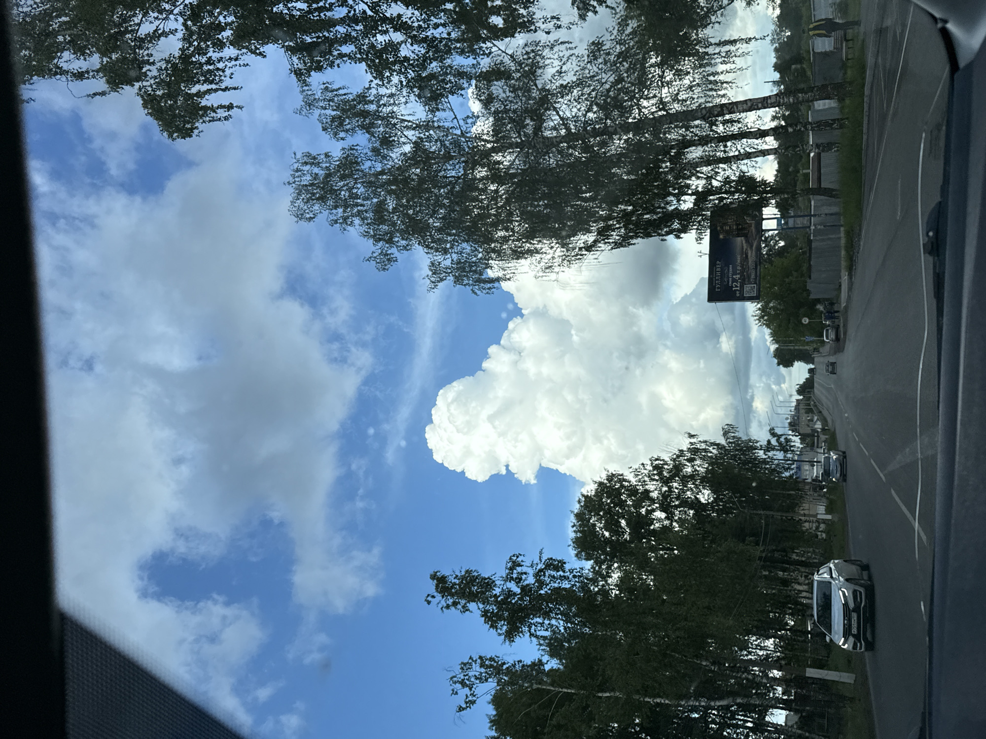 The image, taken from inside a vehicle, captures a daytime view of a road lined with trees under a bright blue sky with scattered white cumulus clouds. The sky dominates the upper portion of the scene, featuring one large, prominent cloud formation.
Tall birch trees with green leaves line both sides of the asphalt road, their foliage appearing dense. Several vehicles are visible on the road, including a dark grey SUV in the foreground with its headlights on, and other cars receding into the distance.
On the right side of the road, a large billboard is partially visible through the trees. The text on the billboard is in Russian, advertising "ГУЛЛИВЕР" (Gulliver), "СВОЯ СТУДИЯ" (Your Studio), and a price point "от 12,4 т.р./мес" (from 12.4 thousand rubles per month), along with a phone number and a QR code. Behind the billboard and trees, some indistinct buildings and structures can be seen, and a person wearing a yellow high-visibility vest is faintly discernible.
The scene conveys a moment of travel in Chaikovsky, Russia, characterized by clear daytime weather and typical roadside elements. The perspective suggests the vehicle is in motion.