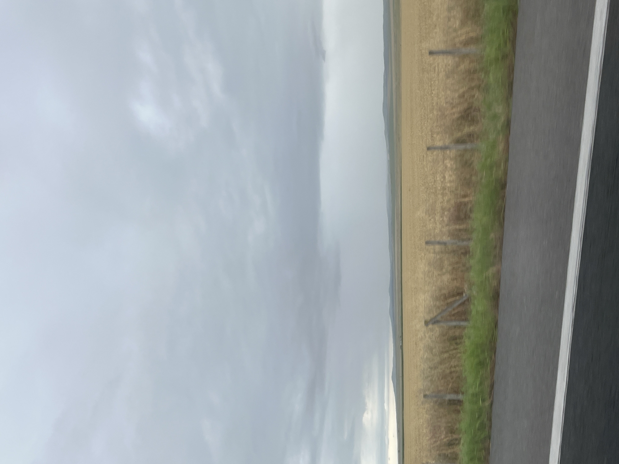 A horizontal, eye-level, medium shot shows a view of a wheat field under a cloudy sky. The field is golden yellow and extends into the distance, meeting rolling hills under a light gray sky with darker clouds. A simple wire fence with wooden posts runs horizontally across the middle of the image, separating the field from a strip of green grass and a dark asphalt road with a white stripe in the foreground. There are no people or animals visible in the scene.