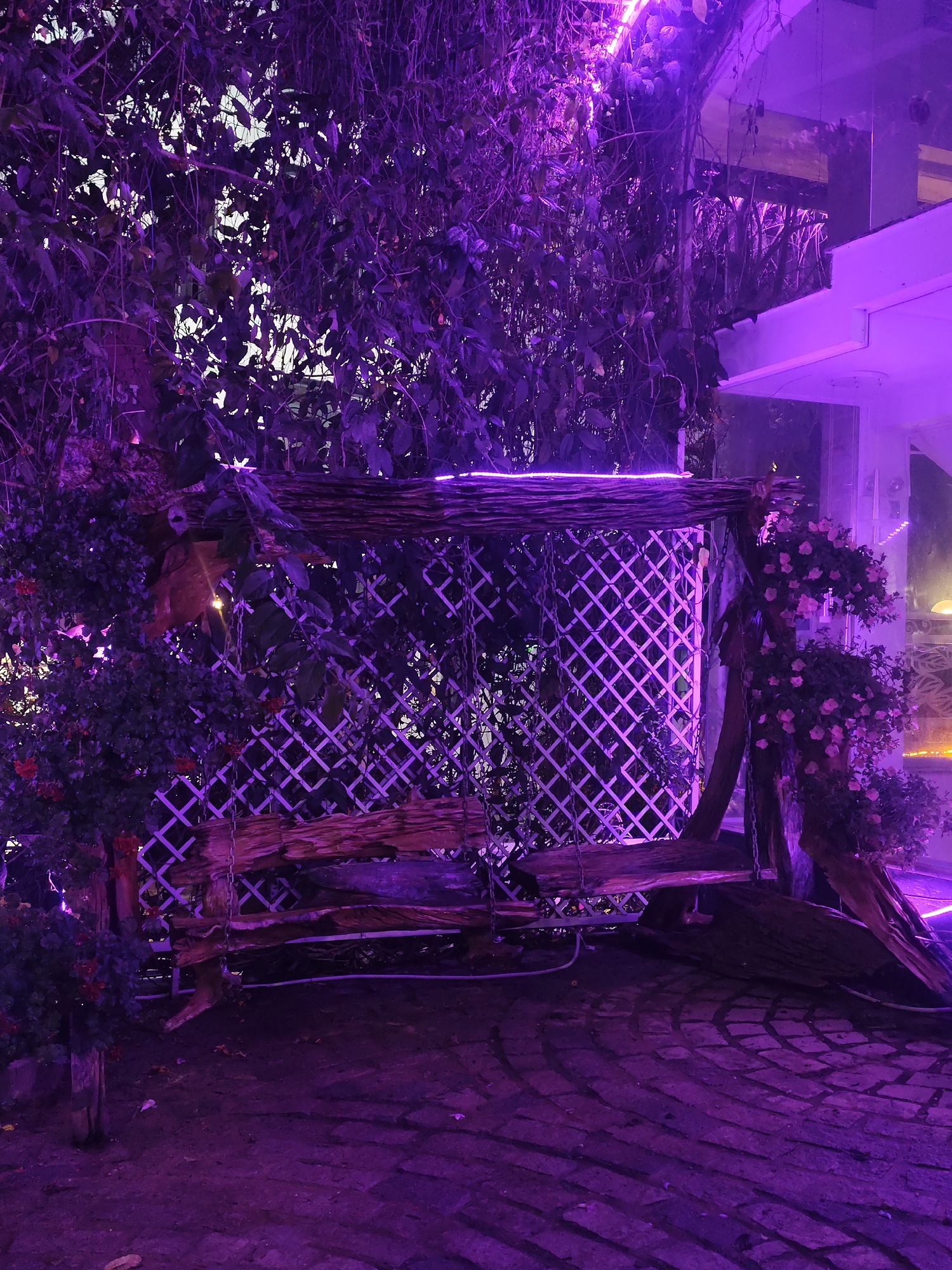 A wooden swing hangs in a garden setting in Da Lat, Vietnam, illuminated by purple lighting. The swing is suspended by metal chains and backed by a white lattice. Bushes with flowers flank the swing. The ground is paved with bricks in a circular pattern. In the background, a building with glass windows is visible.