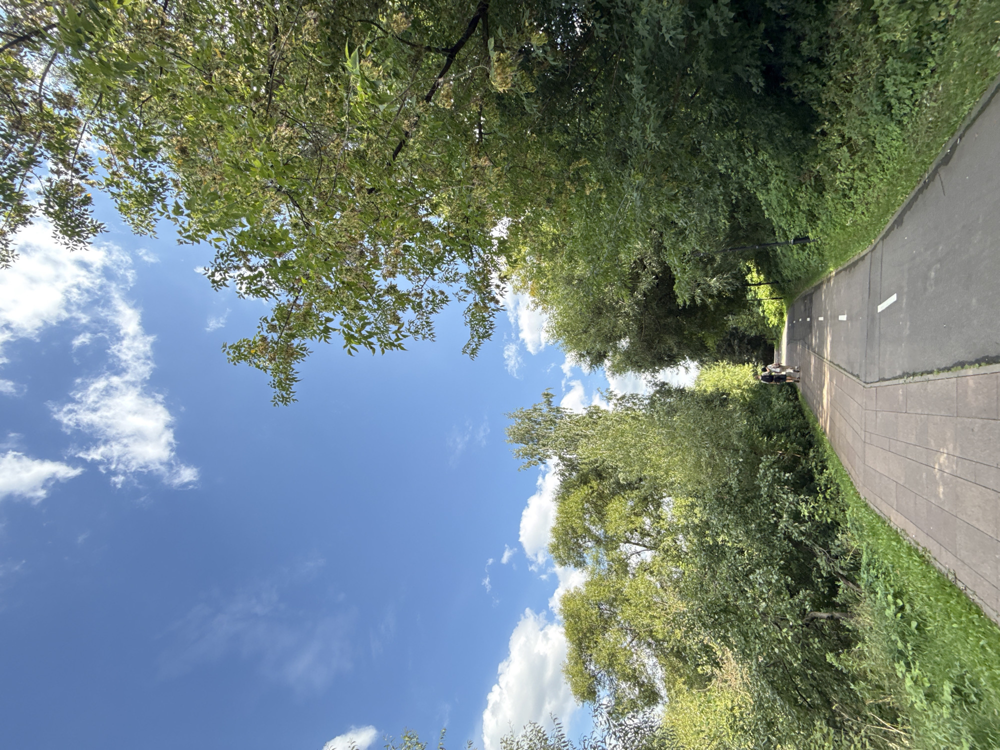 In a park in Moscow, Russia, a paved path curves to the right, dividing into a brick-laid section on the left and a darker asphalt lane on the right, marked with white lines. Two individuals, dressed in casual attire, walk away from the viewer on the brick section. Lush green trees and foliage border the path on both sides, with a bright blue sky dotted with white clouds overhead. The scene suggests a pleasant day for outdoor recreation in an urban green space.