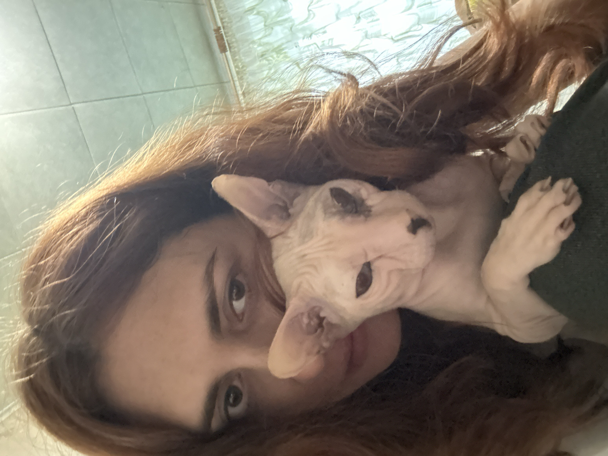 The image shows a close-up selfie of a person holding a Sphynx cat. The person has long, reddish-brown hair that frames their face, and they are looking towards the camera with dark eyes. The cat is light-skinned and bald, with large ears, and is positioned in front of the person, with its head partially obscuring the person's face. The background is blurred, but appears to be an indoor setting with a tiled ceiling and curtains visible. There is no information to suggest the image was taken in Togliatti, Russia.