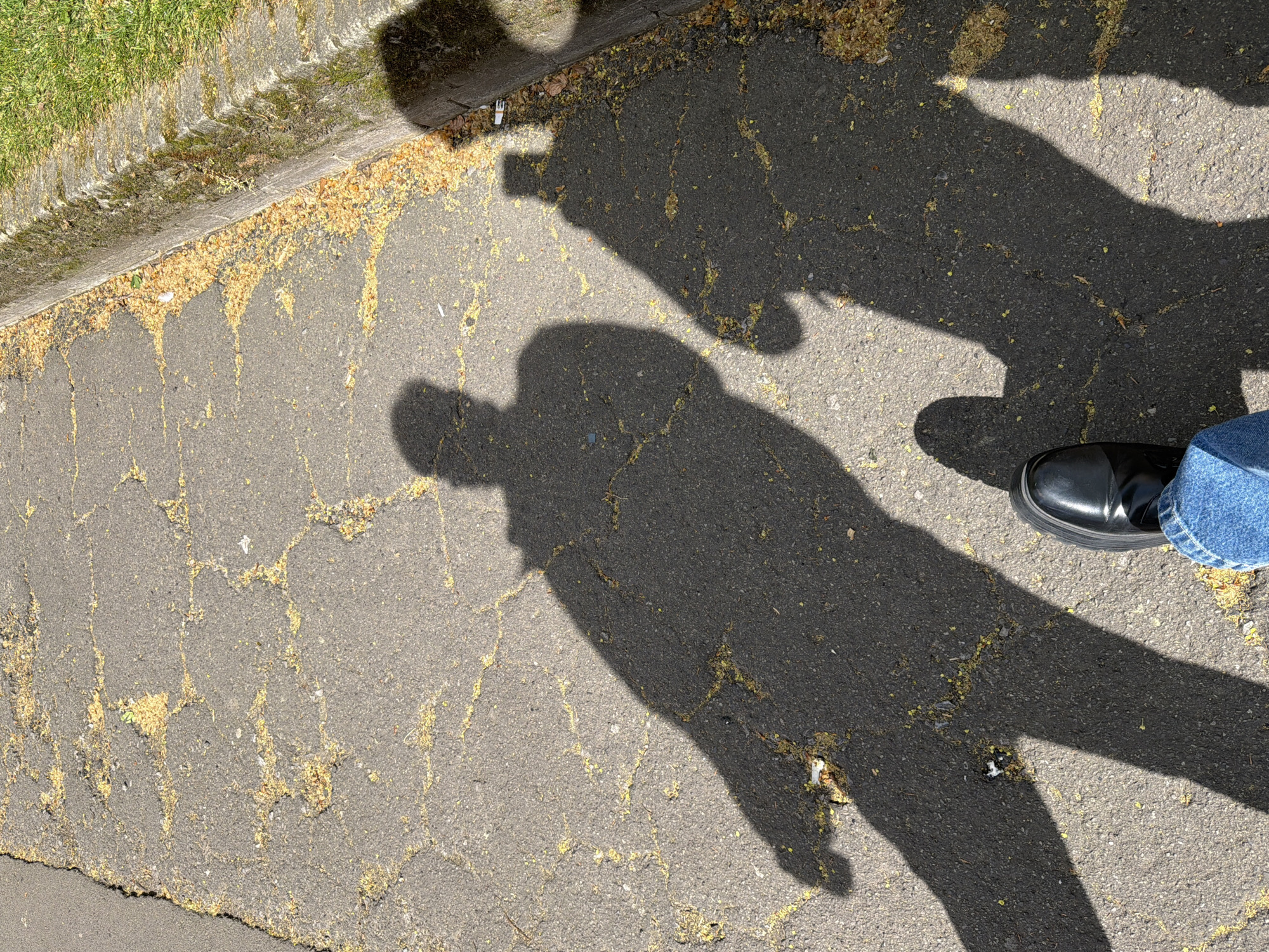 A ground-level photograph captures a section of pavement adjacent to a grass verge. The pavement is cracked and marked with scattered yellow debris, possibly pollen or small seeds. The shadows of two people are visible, with one shadow distinctly holding a mobile phone. A portion of a person's leg, clad in blue denim jeans, and a black leather shoe are present in the lower right corner of the image. The scene suggests an outdoor location, with evidence of natural elements and human presence. There is no evidence to suggest this image was taken in the city of London, United Kingdom.