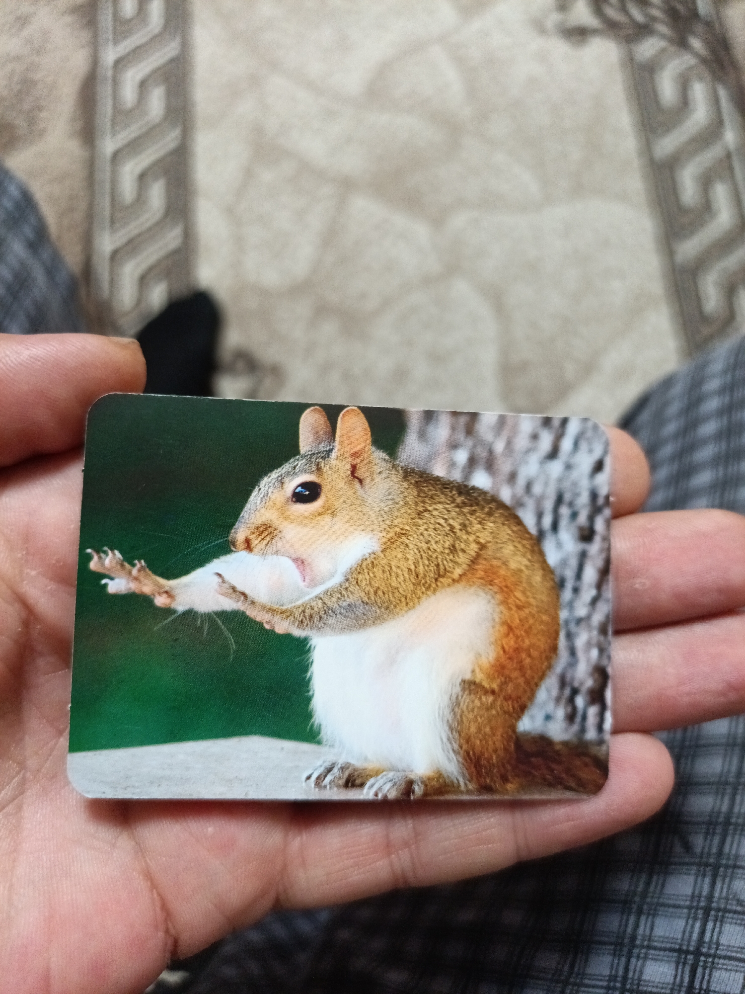 A close-up, overhead shot shows a person's hands holding a postcard featuring a squirrel. The squirrel is depicted in profile, with its mouth open, and its left arm extended forward. The background of the postcard is a blurred green and a textured tree trunk. The hands are lightly touching the postcard, and the person's thumb is visible in the lower right corner. The background behind the hands is out of focus, showing a patterned surface and dark clothing. There is no identifiable information about the location in the city of Nyagan, Russia.