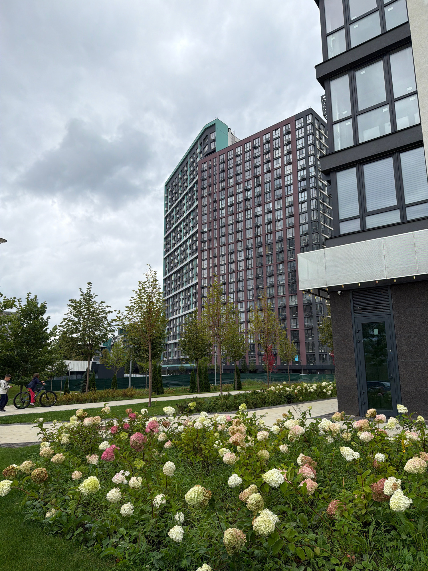 In Kyiv, Ukraine, a contemporary residential complex is captured on an overcast day. The foreground is dominated by a lush garden bed filled with hydrangeas, showcasing a mix of white, pink, and pale green blooms. Beyond the garden, a paved walkway runs through a green lawn, where two individuals are present. One person, a young male, is walking, while a female is riding a bicycle. In the background, several modern, multi-story apartment buildings stand tall. The building on the left is tall and slender with a distinctive teal-colored top section and a facade of dark red and white windows. Adjacent to it, another building features a darker facade with large, uniformly spaced windows. A portion of a third building, closer to the viewer and to the right, displays a dark grey textured exterior with large glass windows and a visible security camera above a dark grey door. The sky is heavy with grey clouds, suggesting a possibility of rain.