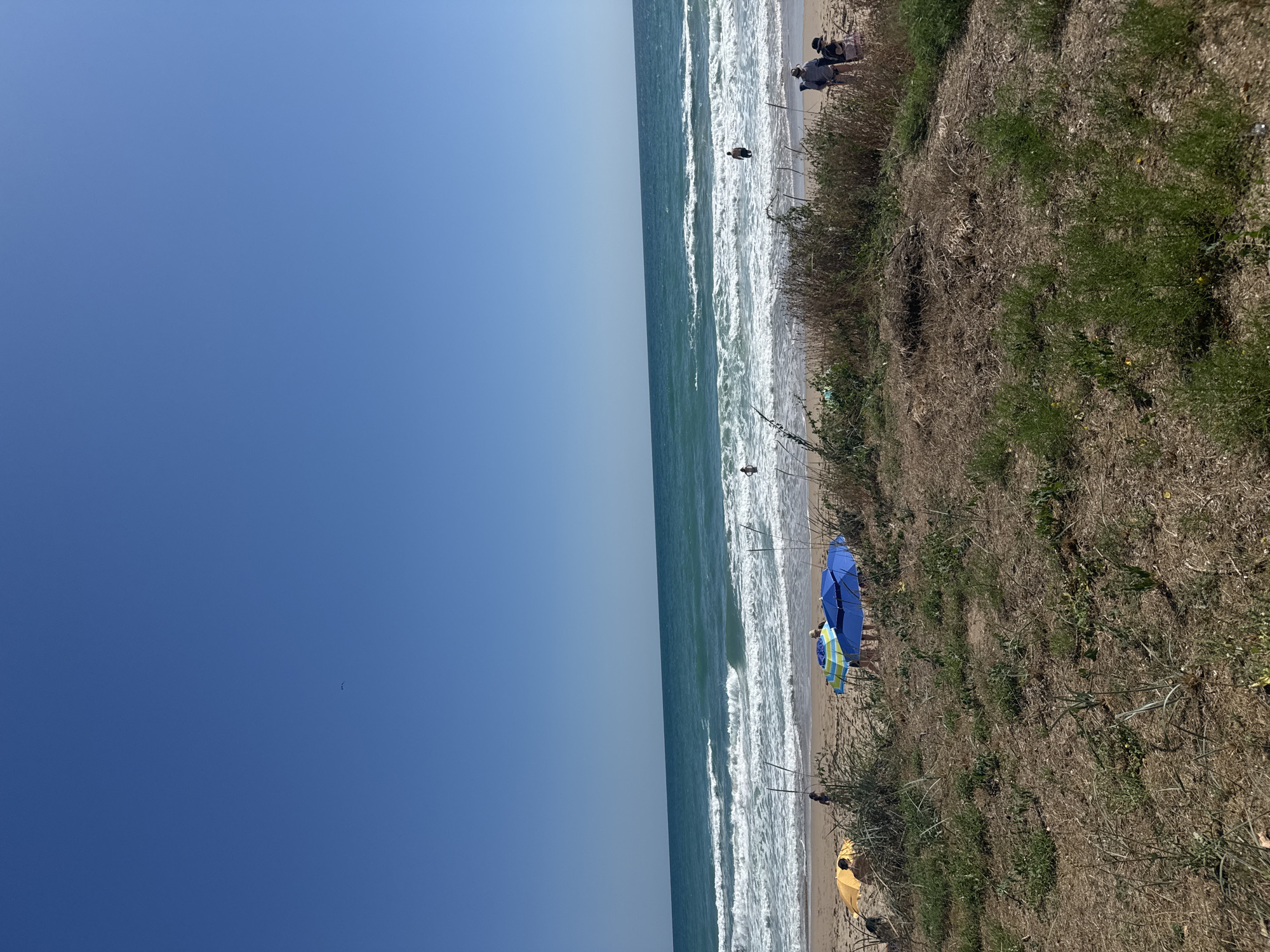 This is a full-frame, eye-level, outdoor shot taken in Shabla, Bulgaria, depicting a beach scene on a clear, sunny day. In the foreground, dry grasses and sparse vegetation cover the sandy ground. Further back, a sandy beach stretches towards the turquoise waters of the sea, where moderate waves are breaking. Several beach umbrellas, one yellow, and two multi-colored (blue, green, yellow) are set up on the sand. A few people are visible on the beach and wading in the shallow water. One person is standing in the ocean, while another is further out. In the middle ground, a small group of individuals, including a man and a woman with a child, are gathered near the umbrellas. In the distance, the vast expanse of the sea meets the clear blue sky, with a faint shadow of what appears to be a bird or aircraft visible in the upper left quadrant of the sky.