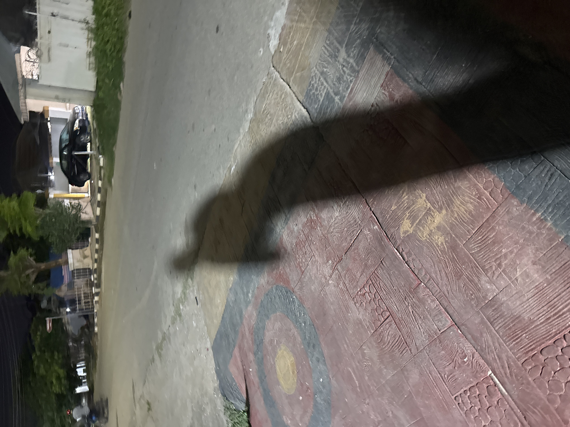 The image depicts a dimly lit street scene at night in Abuja, Nigeria. In the foreground, a patterned tiled surface features concentric circles, with a prominent shadow cast across it. The shadow appears to be from a person, possibly captured in motion, with an outstretched arm suggesting an action or gesture. The tiles have a textured appearance, resembling wood grain and cobblestones, in shades of red, brown, and black.
Beyond the tiled area, a grey asphalt road is visible. To the left of the road, a motorcycle with a rider wearing a helmet is moving away from the camera. Further down the road, a dark-colored sedan is parked. The background consists of buildings, trees, and streetlights, indicating a residential or commercial area within the city. The overall lighting suggests it is nighttime, with artificial light sources illuminating parts of the scene. The environment appears to be urban, with paved roads and sidewalks.