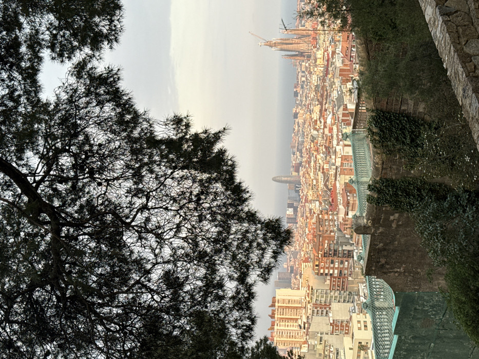 The image depicts an elevated panoramic view of Barcelona, Spain, observed from a vantage point within Park Güell. The foreground is dominated by the silhouetted branches and dense needles of a large pine tree, framing the upper portion of the scene. Below the tree, in the mid-left foreground, a structure with distinct green, ridged roof tiles is visible, bordered by a rough-hewn stone wall partially covered in ivy and other green foliage. A low stone retaining wall marks the immediate bottom-right edge of the frame.
The central and background areas showcase the sprawling cityscape of Barcelona under a hazy, pale sky. Numerous residential and commercial buildings with varied architectural styles, predominantly featuring warm-toned facades and terracotta roofs, extend across the urban landscape. To the far right, the prominent, multi-spired silhouette of Antoni Gaudí's Sagrada Familia basilica is clearly visible, with scaffolding and a crane indicating ongoing construction. Towards the center-left, the distinct, bullet-shaped Torre Glòries (Agbar Tower) stands tall amidst other high-rise structures. The distant horizon reveals the Mediterranean Sea. No identifiable individuals or specific actions are discernible within the frame. The lighting suggests either early morning or late afternoon conditions.