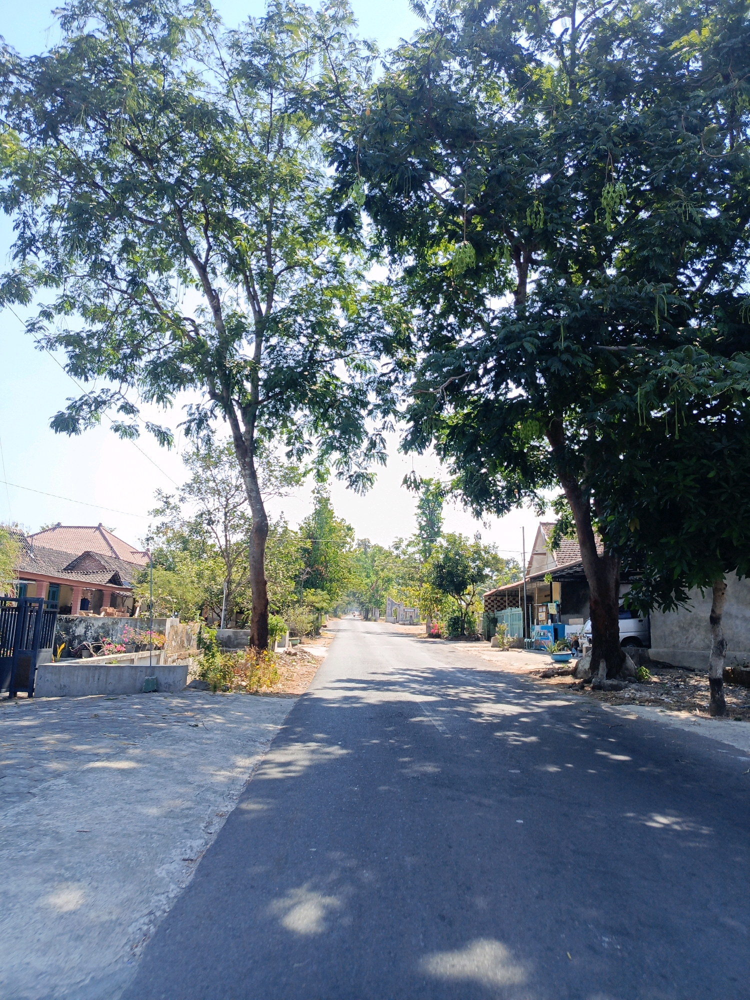 The image shows a paved road lined with trees and houses in Tamanan, Indonesia. The road curves slightly to the left and is bordered by a concrete sidewalk on the left and a dirt shoulder on the right. Large trees with dense foliage cast shadows on the road. On the left side of the road, there are houses with tiled roofs and a dark metal gate. On the right side, there are more houses, some with concrete walls, and vegetation. A white van is parked in front of one of the houses on the right. The sky is clear and blue. The scene depicts a typical residential street in a tropical environment.