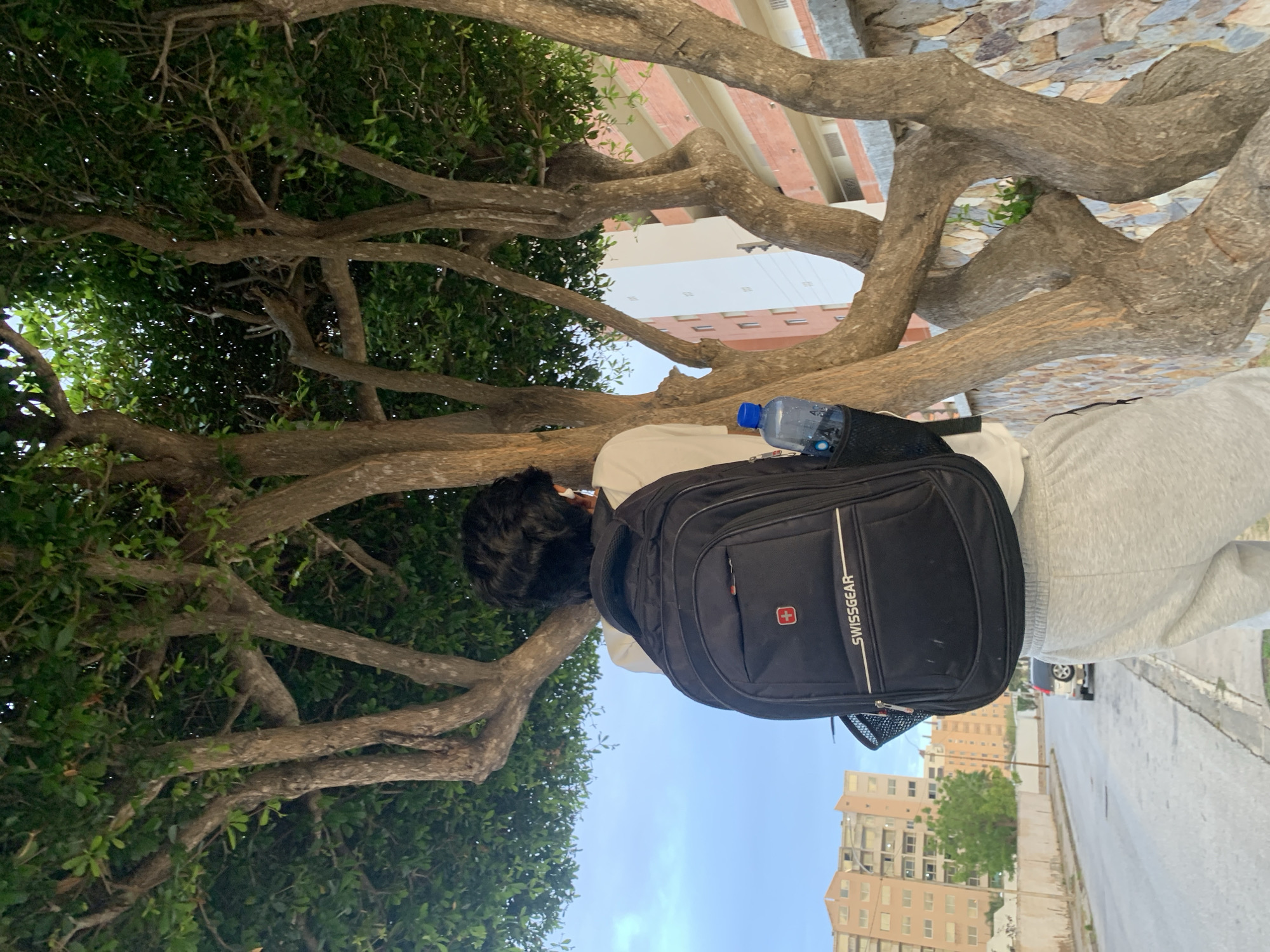 A daytime outdoor shot captures a person from behind, standing or walking under a large, leafy tree. The image is oriented vertically. The person, with dark hair, wears a white long-sleeved top and light grey sweatpants. A black "SWISSGEAR" backpack with a red Swiss cross logo is prominent on their back, holding a blue water bottle in its side mesh pocket.
The gnarled branches and dense green foliage of the tree dominate the left and upper parts of the frame, providing shade. Through and beyond the tree branches, a clear blue sky is visible. In the background, several multi-story buildings, some with reddish-brown facades and others lighter, line what appears to be a street or paved area. A section of sidewalk or road is visible on the right, and a vehicle is faintly discernible further down the street. The scene suggests a relaxed, urban or suburban setting, consistent with the provided location context of Pampatar, Venezuela.