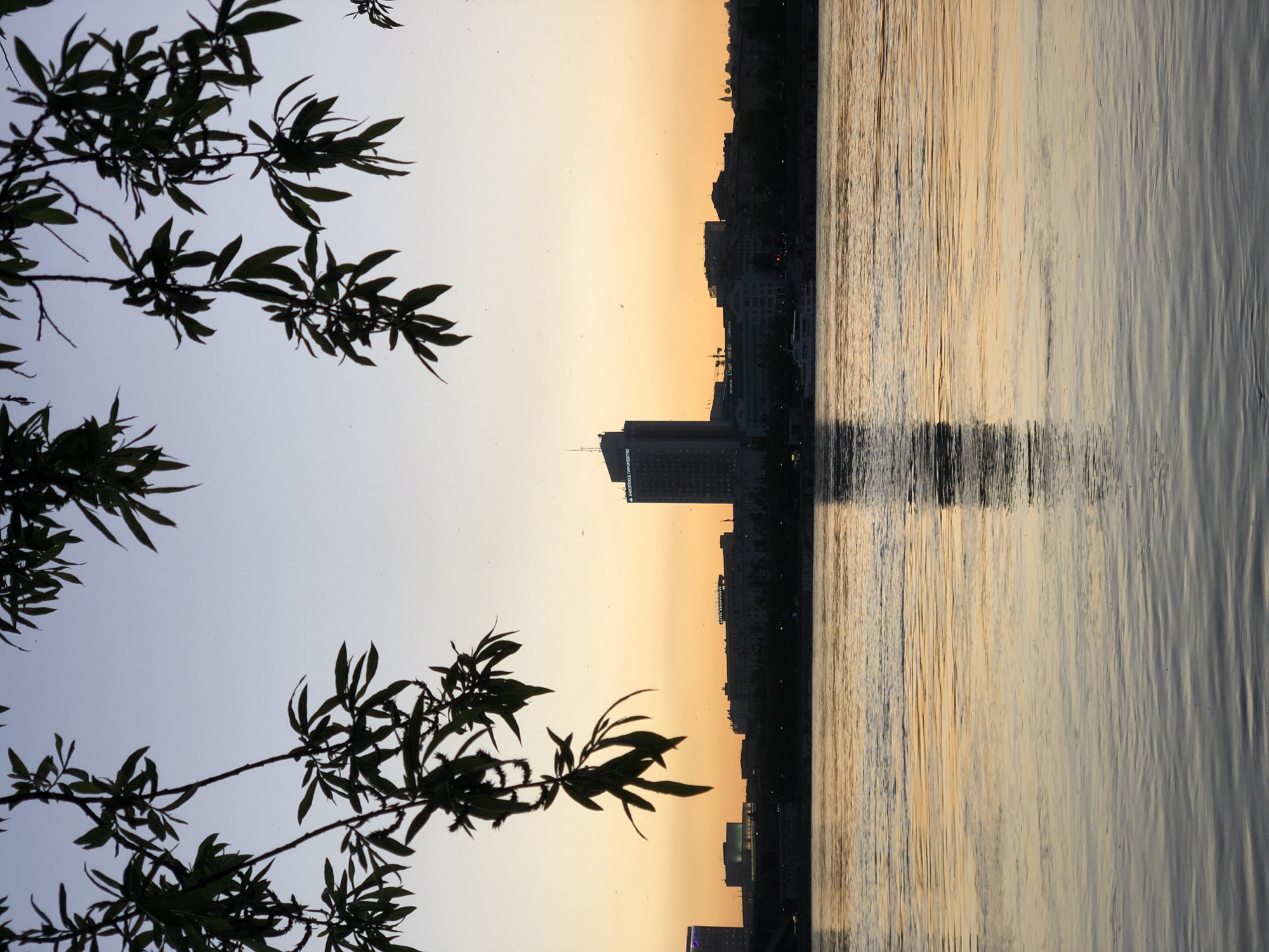 This media file presents a serene urban landscape captured at either dawn or dusk, looking across a wide body of water towards a city skyline. The image is framed by dark, silhouetted tree branches and leaves in the foreground, primarily on the left side and top, contrasting sharply with the bright sky.
The sky on the left half of the image displays a beautiful gradient, transitioning from a warm yellow-orange hue near the horizon to a lighter, softer blue-grey higher up. This atmospheric lighting suggests either sunset or sunrise. The water, occupying the right half, reflects these sky colors, showing vertical streaks of warm orange and yellow light near the distant bank, gradually fading to cooler, paler tones further into the river. The surface of the water shows subtle ripples, contributing to a sense of calm.
Along the opposite bank, the city's buildings are silhouetted in dark tones against the luminous sky. A prominent, tall, rectangular building stands out within the skyline. On its facade, some Cyrillic text is faintly visible, though not clearly legible due to the distance and low light. The scene depicts a tranquil moment over a river, showcasing the city of Krasnoyarsk, Russia, as specified by the context. No specific activity or people are visible, emphasizing the quiet beauty of the urban environment during twilight.