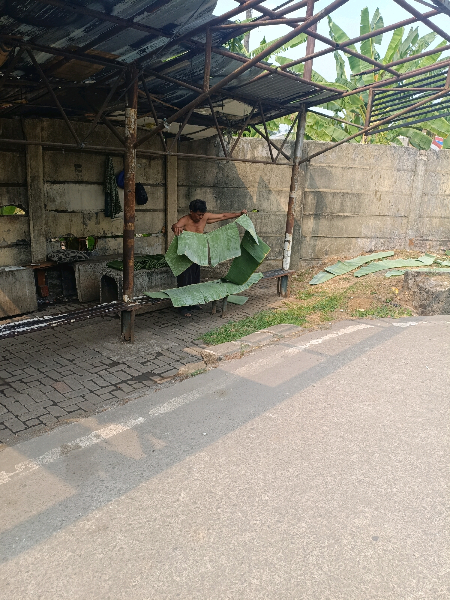 A shirtless man stands under a corrugated metal roof supported by rusty metal poles and concrete pillars. He is holding several large, green banana leaves. The man is wearing dark pants. In front of him, a long, narrow metal bench is covered with more banana leaves. The ground in front of the bench is paved with rectangular bricks. Behind the man is a concrete wall. Several banana leaves are spread out on the ground beyond the wall. The overall setting appears to be a roadside shelter in Tangerang, Indonesia, where banana leaves are likely being prepared for sale or use.