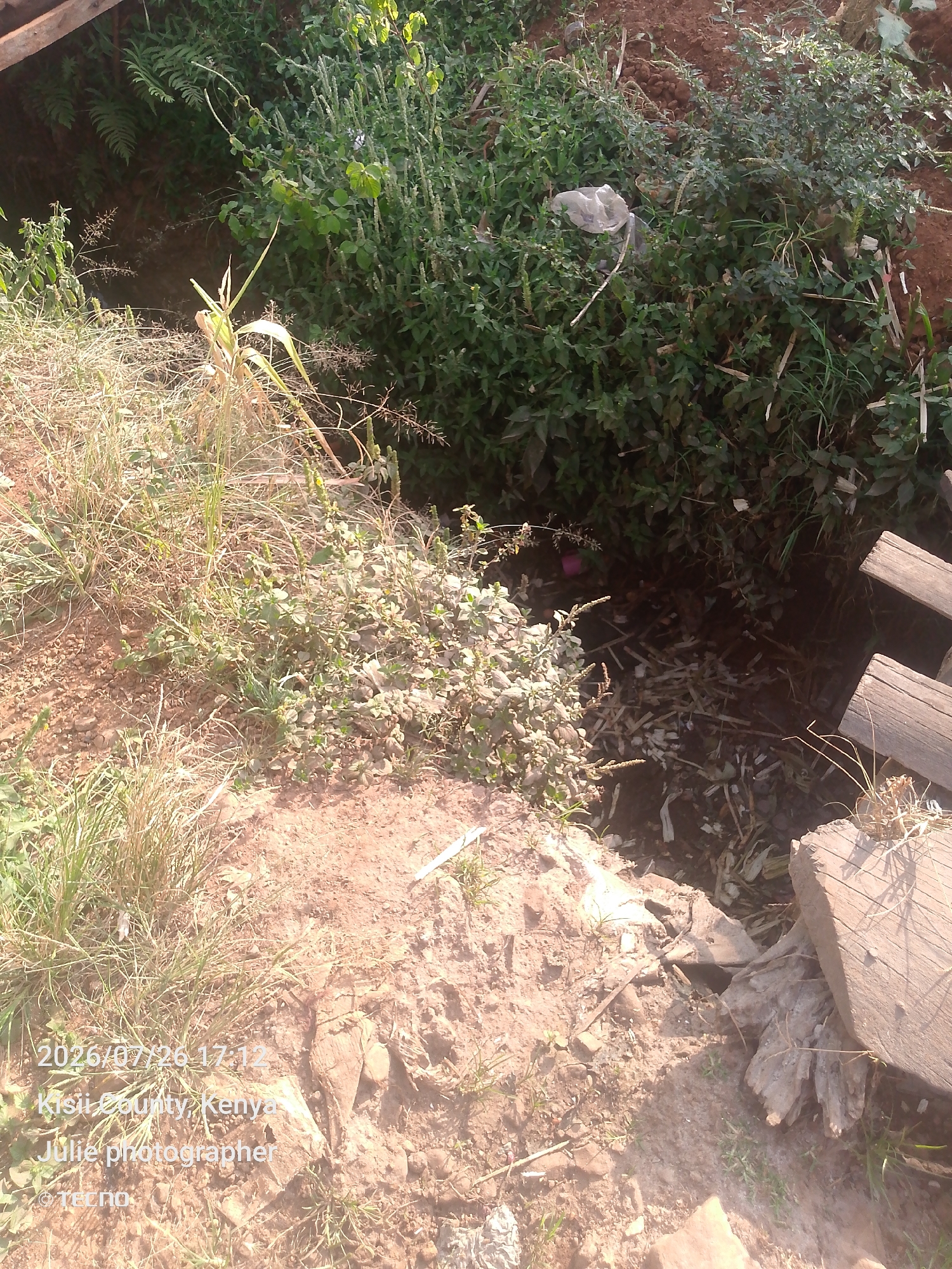 The image depicts an outdoor scene with abundant vegetation and soil. In the upper portion, dense green foliage dominates, interspersed with dry grass and some evidence of debris. A plastic bag is visible within the greenery. Towards the lower right, two weathered wooden planks are positioned, appearing to be part of a makeshift structure or barrier. The ground is composed of reddish-brown soil with scattered stones and dry plant matter. In the lower left corner, text overlays indicate the date "2026/07/26 17:12", "Kisii County, Kenya", "Julie photographer", and "© tecno". The overall environment suggests an uncultivated or semi-wild area with a natural, somewhat untidy appearance. The scene is captured from a high angle looking downwards.