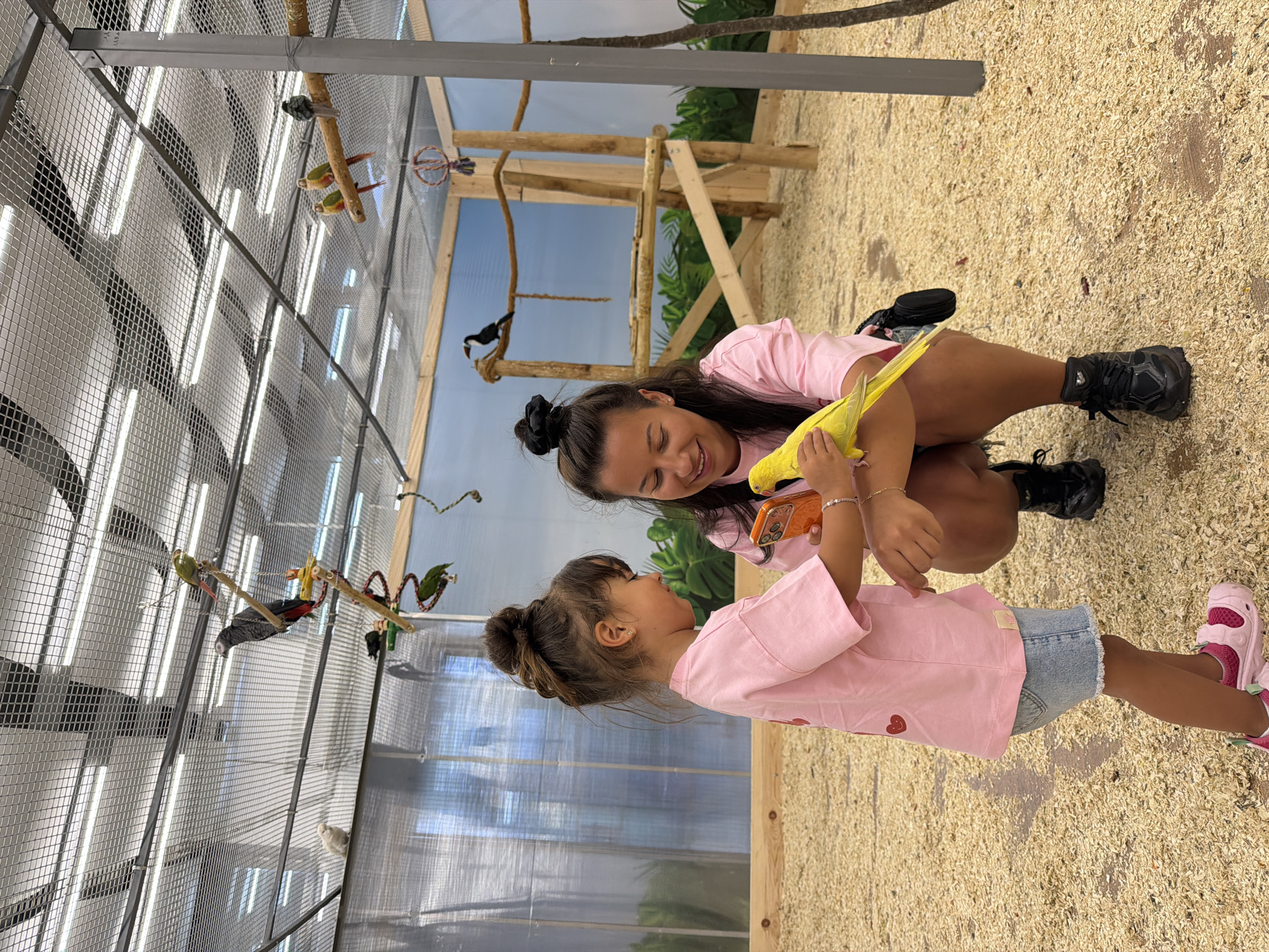 In Burgas, Bulgaria, a woman and a young girl are interacting with a yellow budgie inside a bird aviary. The aviary has a mesh ceiling with bright lights and the floor is covered with wood shavings. The woman, on the right, is wearing a pink t-shirt and black sneakers, holding the budgie on her hand. The girl, on the left, is wearing a pink t-shirt and denim shorts, looking at the bird. Behind them, other birds are visible perched on wooden structures. The background depicts a painted mural of lush greenery and a blue sky.