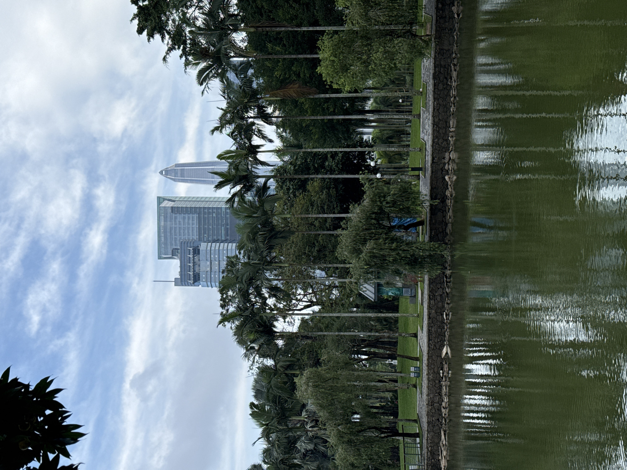 The image shows a green pond with ripples, reflecting the sky and possibly nearby buildings. A stone wall separates the pond from a grassy area with a row of palm trees and other trees. Beyond the trees are tall skyscrapers, indicating an urban environment. Given the location in Futian District, China, it could be a park or green space near the central business district. The sky is cloudy. There are no visible people or specific actions taking place.