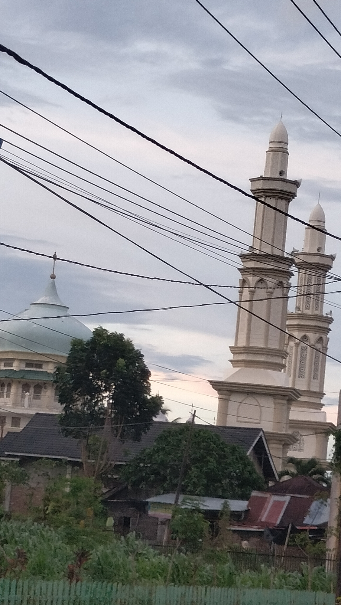 This vertical outdoor shot captures a mosque and its surrounding environment in Sukamulia, Indonesia, under a cloudy sky. The image is heavily characterized by numerous dark electrical or utility wires that crisscross the frame horizontally and diagonally, partially obscuring the view of the sky and the structures.
On the left side of the frame, the upper portion of a large mosque dome is visible. The dome is a light green or light blue color and is topped with a distinct finial. Below the dome, part of the mosque's intricate light-colored facade, featuring arched windows and railings, can be seen. A large, dense green tree stands in the mid-ground, partially concealing the mosque's main structure.
To the right, two tall, slender minarets of the mosque rise prominently. These minarets are a light, possibly off-white or cream color, constructed in multiple sections with decorative carvings and small arched openings. Each minaret culminates in a pointed finial.
Below the mosque structures and the large tree, various residential buildings are visible. One building features a dark, sloped roof, while another appears to be a more rustic dwelling with a reddish corrugated metal roof. The lower foreground is filled with lush green vegetation, including bushes and plants, with a light-colored fence or barrier visible at the very bottom.
The sky is overcast with a soft, diffused light, suggesting either early morning or late afternoon conditions, with hints of lighter, possibly warmer tones near the horizon. No people are visible, and no specific activities are taking place. No discernible text is present. The scene offers a view of a local mosque as a prominent landmark within a residential setting, framed by overhead utility lines.