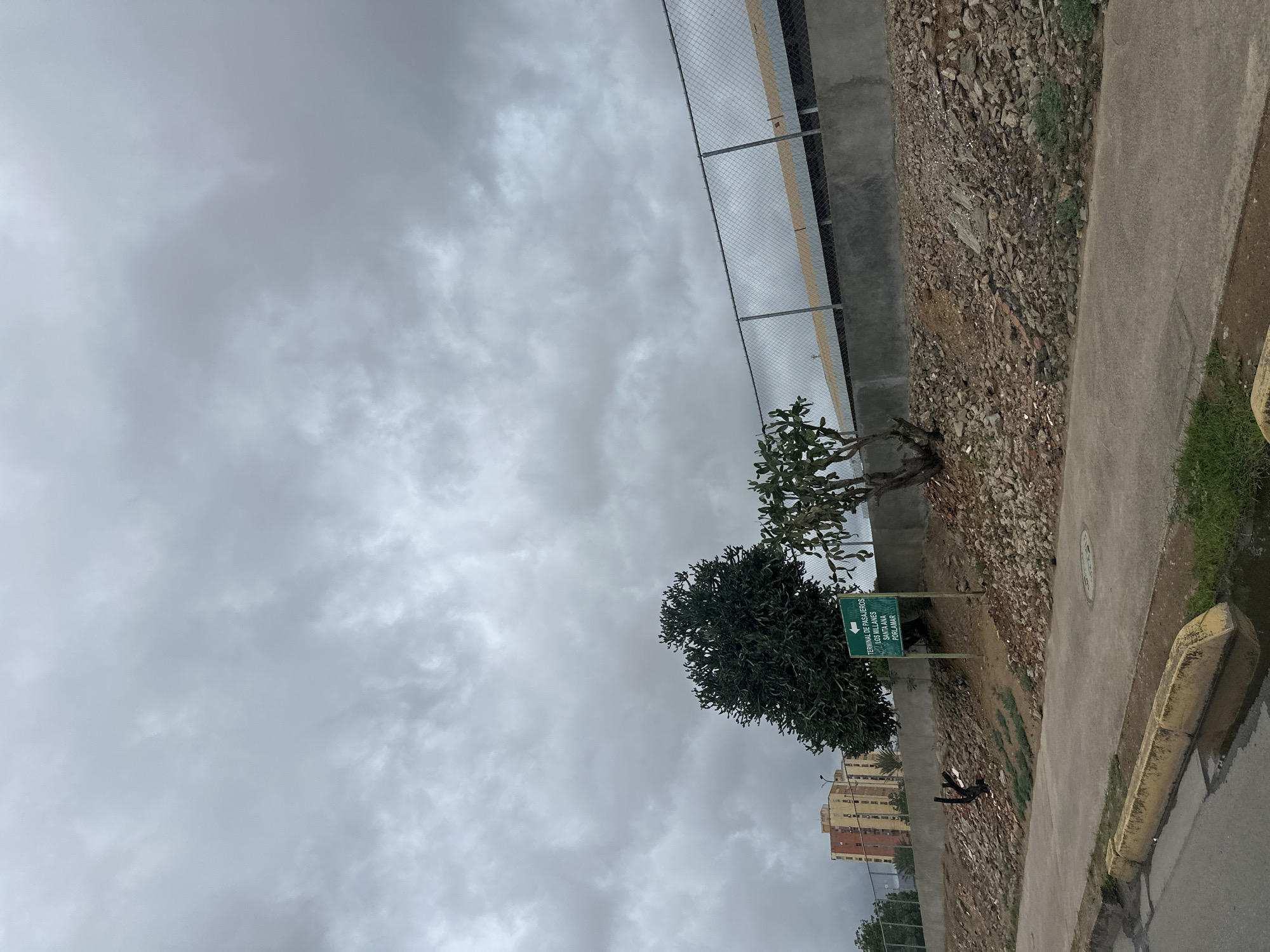 The image depicts a cloudy day scene in Juan Griego, Venezuela. In the foreground, a paved sidewalk runs along a dirt path lined with rocks and sparse vegetation. A yellow curb separates the sidewalk from a wet asphalt road with a puddle. Behind the path, a concrete retaining wall supports a fenced-off area with a structure visible behind the fence. Two trees, one dense and dark green, the other a lighter green and more spread out, stand on the rocky incline. A green sign with white text pointing to the left is positioned between the trees. In the background, a tall, multi-story building with yellow and orange facades is visible. The sky is overcast with heavy, grey clouds.