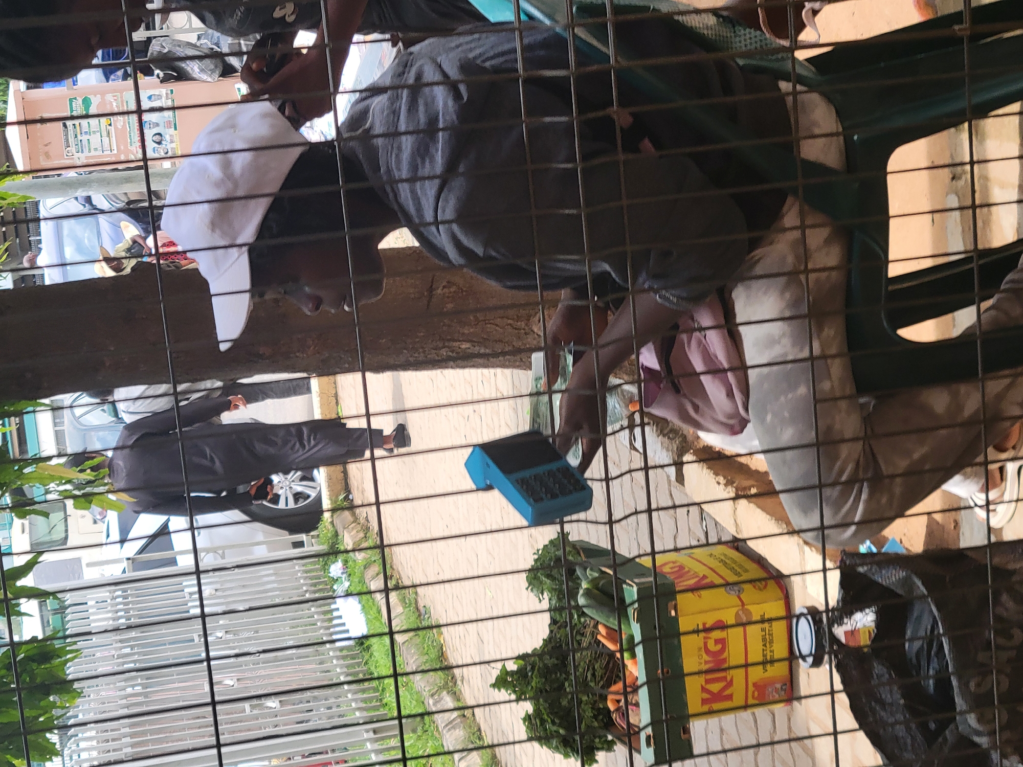 The image, taken through a metal grille, depicts an outdoor commercial scene, likely a market stall or roadside vendor in Abuja, Nigeria.
In the foreground, a person wearing a white baseball cap and a dark long-sleeved shirt is seated on a green plastic chair. They are focused on a blue electronic device, which appears to be a Point of Sale (POS) machine or payment terminal, suggesting a transaction is underway.
Adjacent to the seated individual, a green plastic crate filled with fresh vegetables, including leafy greens, cucumbers, and carrots, is visible. On the ground next to the crate, a yellow box labeled "KING'S VEGETABLE OIL" stands, alongside a black plastic bag.
In the background, on a paved surface, another person dressed in a dark suit walks past a silver/grey parked car. The scene is outdoors, under natural daylight, indicating it is daytime. The presence of both fresh produce and a modern payment device highlights a blend of traditional vending with contemporary commerce. The metal grille creating a grid pattern across the entire image suggests the photograph was taken from behind a barrier or fence.