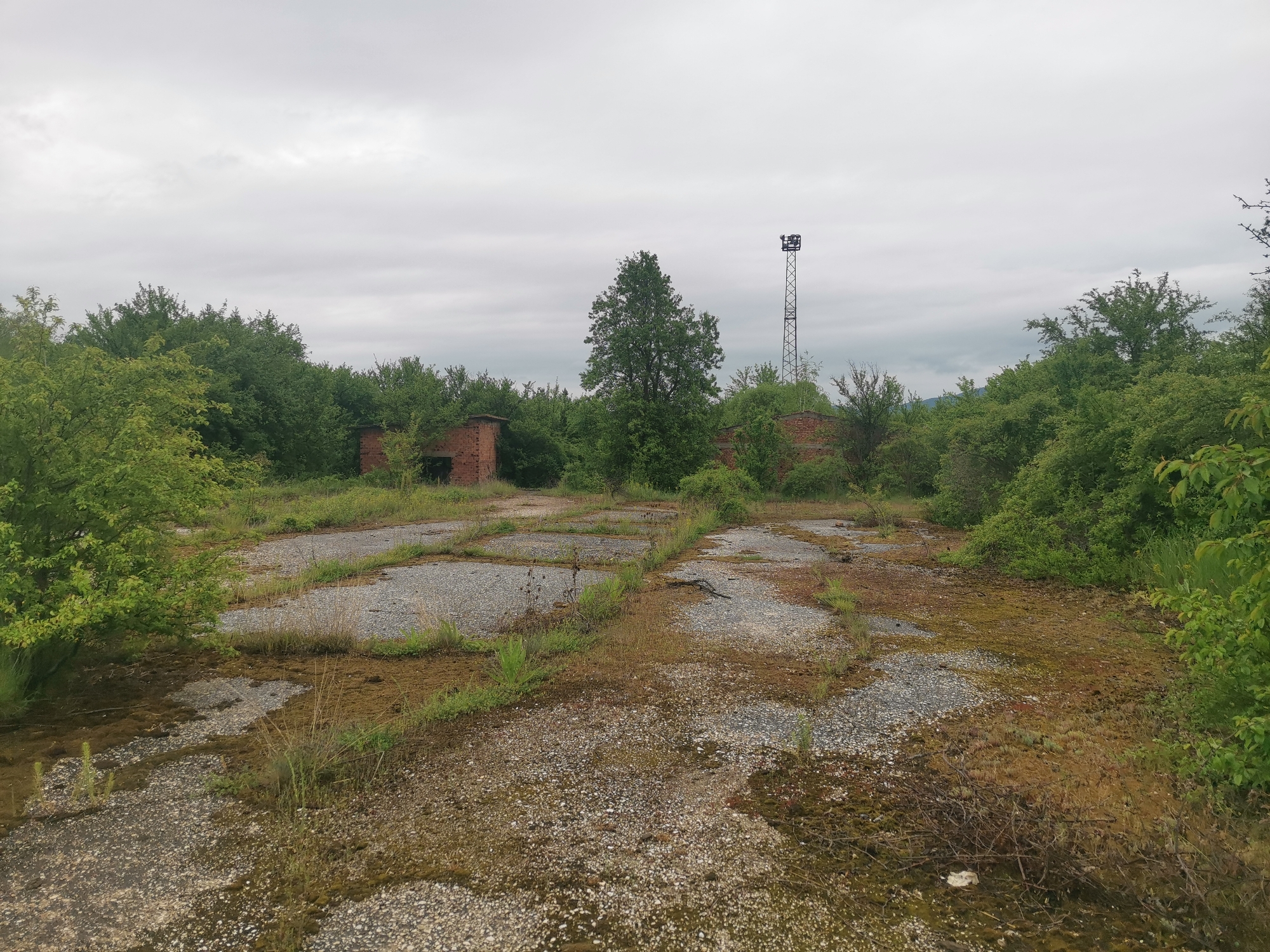 The image depicts an abandoned, overgrown area, likely a former industrial or military site. The scene is dominated by a large expanse of cracked and deteriorated concrete slabs, covered in moss and vegetation. Two dilapidated brick structures are visible on either side of the space, partially obscured by trees and bushes. A tall, metal lattice tower stands in the background, its function unclear. The vegetation is lush and untamed, suggesting a long period of neglect. The sky is overcast, contributing to the somber and desolate atmosphere. The location is assumed to be near the city of Verinsko, Bulgaria.