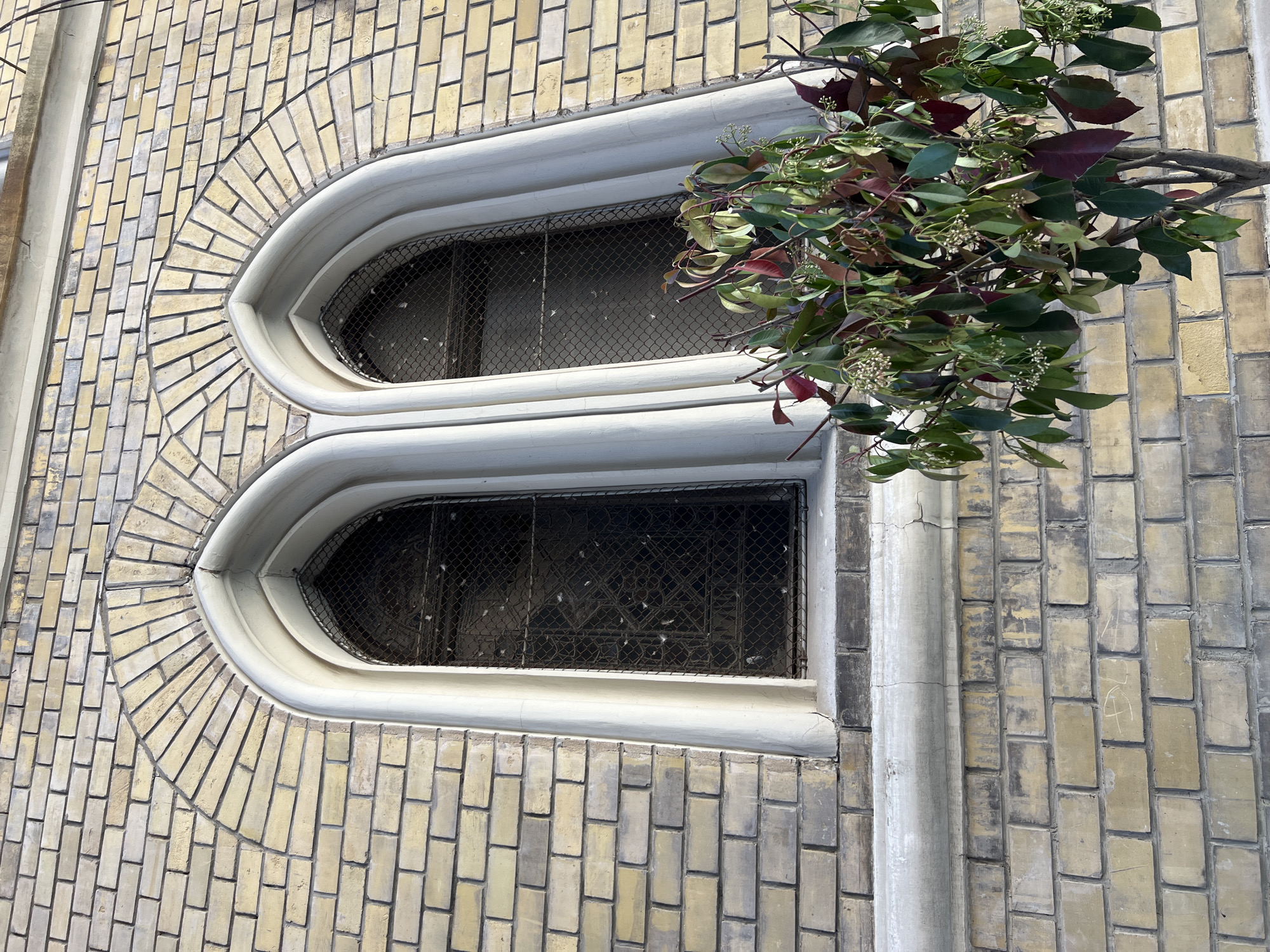 Two adjacent arched windows with ornate frames are set into a brick facade. The bricks are primarily yellow and laid in a running bond pattern with sections radiating from the arches of the windows. A plant with green and red leaves grows near the top window. A concrete column runs vertically along the brick wall, adjacent to the windows. The city is Novi Sad, Serbia.