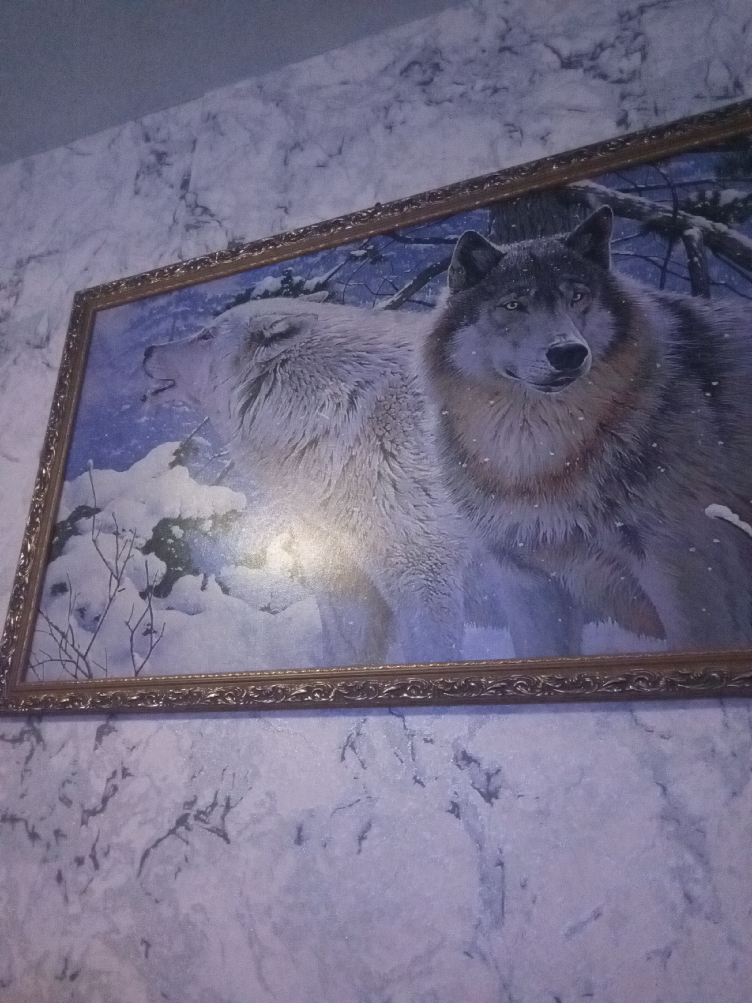 A framed painting of two wolves in a snowy forest is mounted on a wall with marble-patterned wallpaper. The wolf on the right is in the foreground, facing the viewer with a direct gaze. It has dark fur on its head and shoulders, with lighter fur on its chest and belly. Its eyes are a piercing blue. The wolf on the left is in the background, its head turned to the side and its mouth open as if howling. It has white fur and appears to be larger than the wolf in the foreground. Snow covers the ground and branches of trees in the background, suggesting a winter scene. The painting is framed with a decorative gold-colored frame. The wallpaper is light gray with dark gray veining, creating a marbled effect. The image is taken from a slightly elevated angle, looking down at the painting. The location of Buraly, Russia is not depicted in the image.