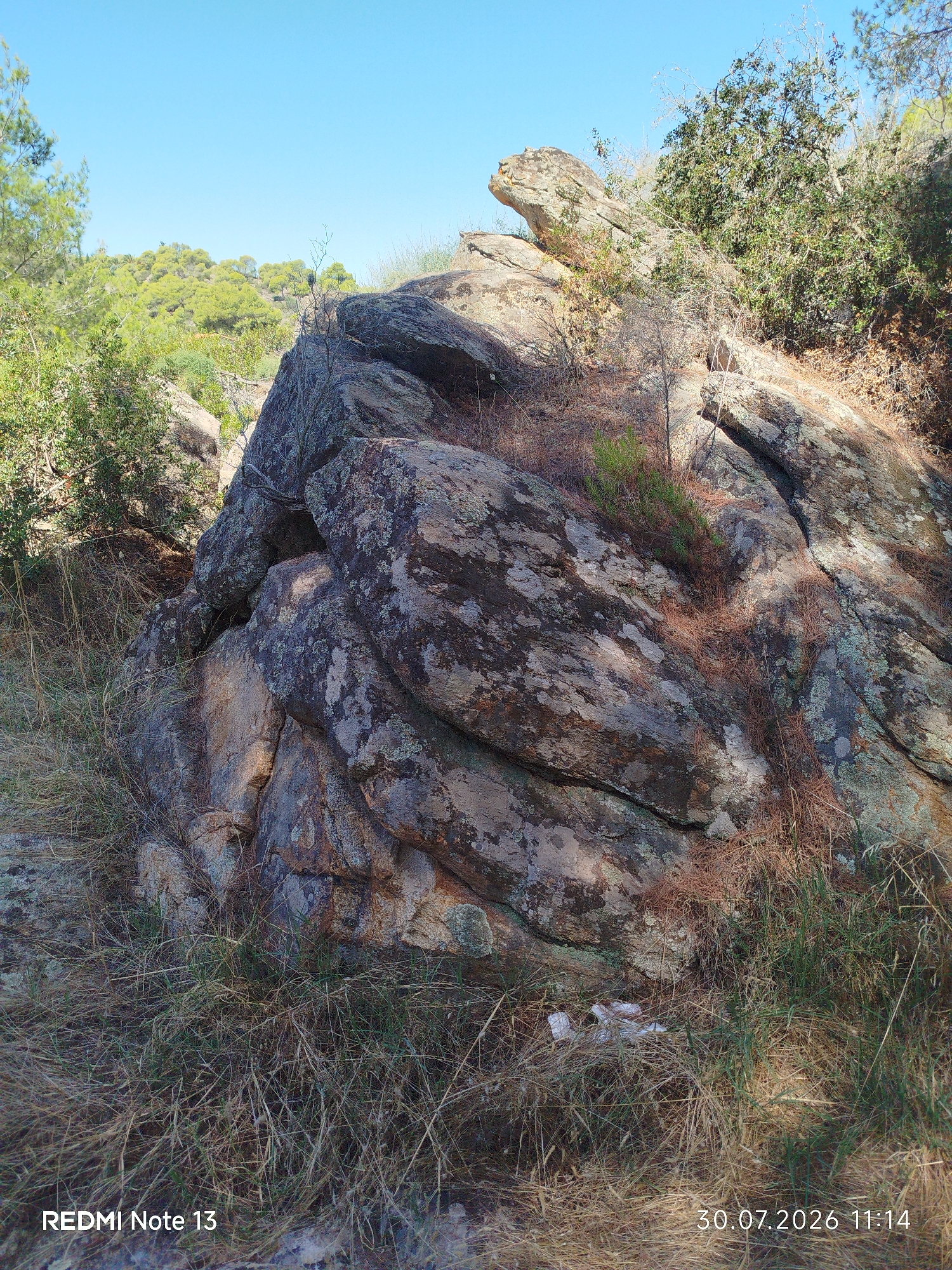 A close-up, eye-level shot depicts a large, weathered rock formation in a natural, outdoor setting. The rock is predominantly gray and brown, with patches of green lichen and darker, almost black, mineral deposits. It is covered in places with dry pine needles and sparse green vegetation. In the foreground, dry grass and weeds grow around the base of the rock. In the mid-ground, a cluster of green trees and shrubs is visible, suggesting a vegetated hillside. The background features a clear, light blue sky and more distant green hills. The scene appears to be located in a Mediterranean landscape, consistent with the Sithonia Municipal Unit, Greece. There are no people or animals visible in the image. The overall impression is one of a rugged, natural environment.