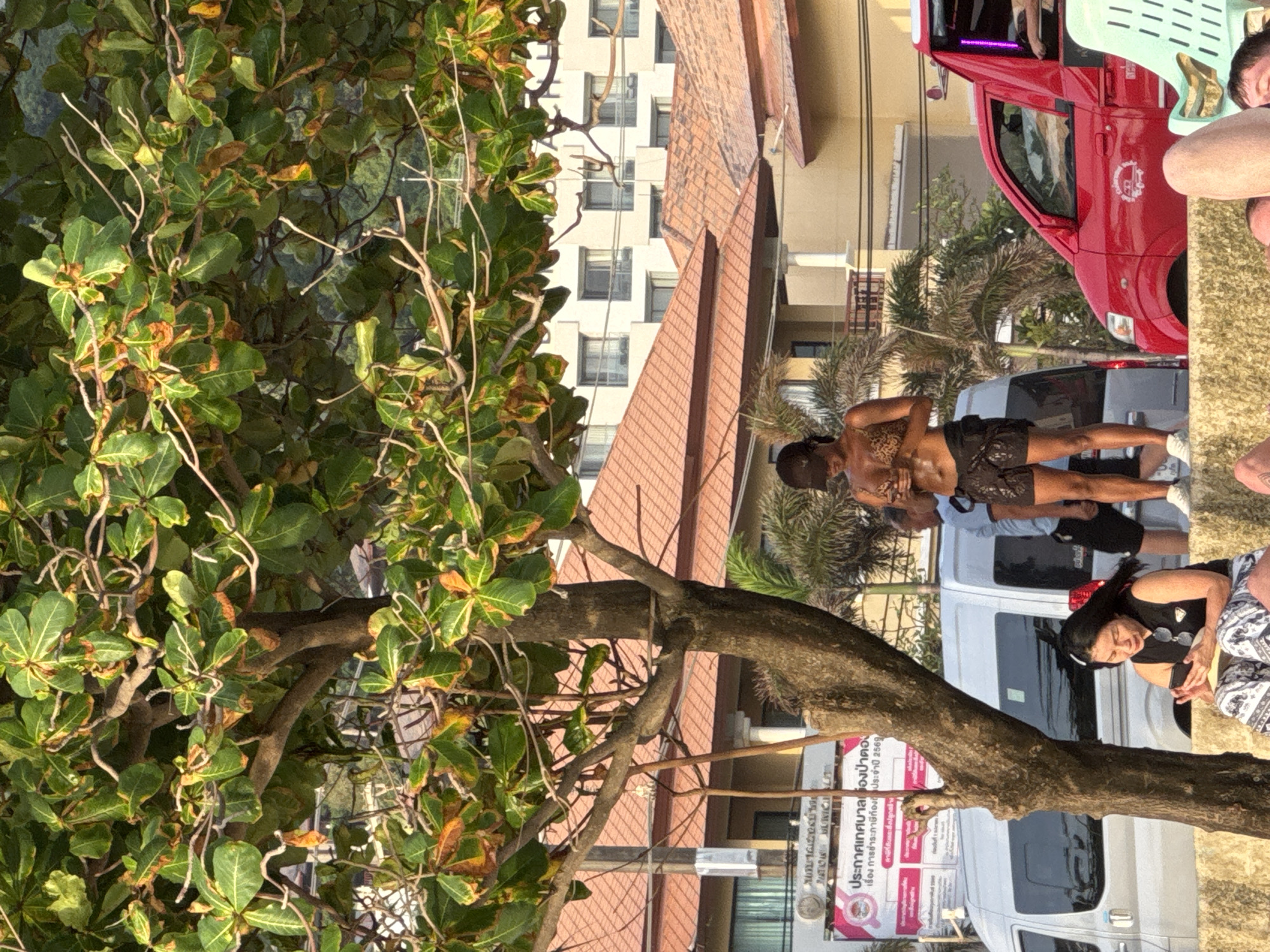 The image captures a street scene in Patong, Thailand, on what appears to be a sunny day. In the foreground, a woman is seated, looking down at her phone. Behind her, a tree with green and brown leaves partially obscures the view of buildings. Further back, a man in dark shorts and a patterned top stands near a red vehicle. The background reveals buildings with tiled roofs and multiple stories, as well as a silver van. Palm trees are visible between the buildings. The overall impression is a bustling, tropical urban environment.