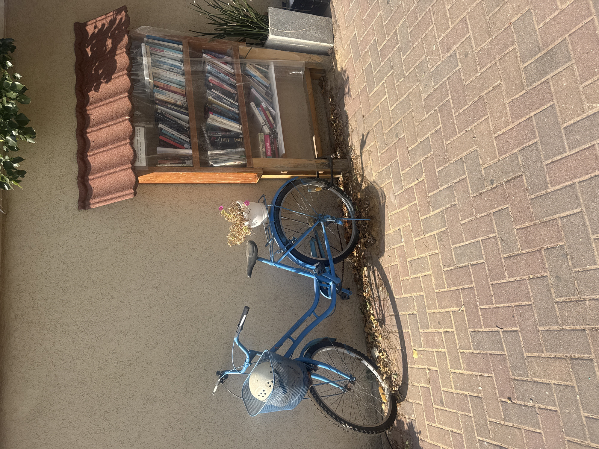 The image depicts an outdoor scene in Ramat HaSharon, Israel, featuring a blue bicycle leaning against a textured beige wall. The bicycle has a blue wire basket in the front containing a light-colored helmet. To the right of the bicycle is a wooden bookshelf with a reddish tiled roof, covered in clear plastic sheeting. The bookshelf is filled with numerous books. Next to the bookshelf, to the right, is a tall, rectangular white planter with a green plant. The ground is paved with reddish-brown bricks laid in a herringbone pattern. Sunlight casts shadows across the scene, indicating it is daytime.