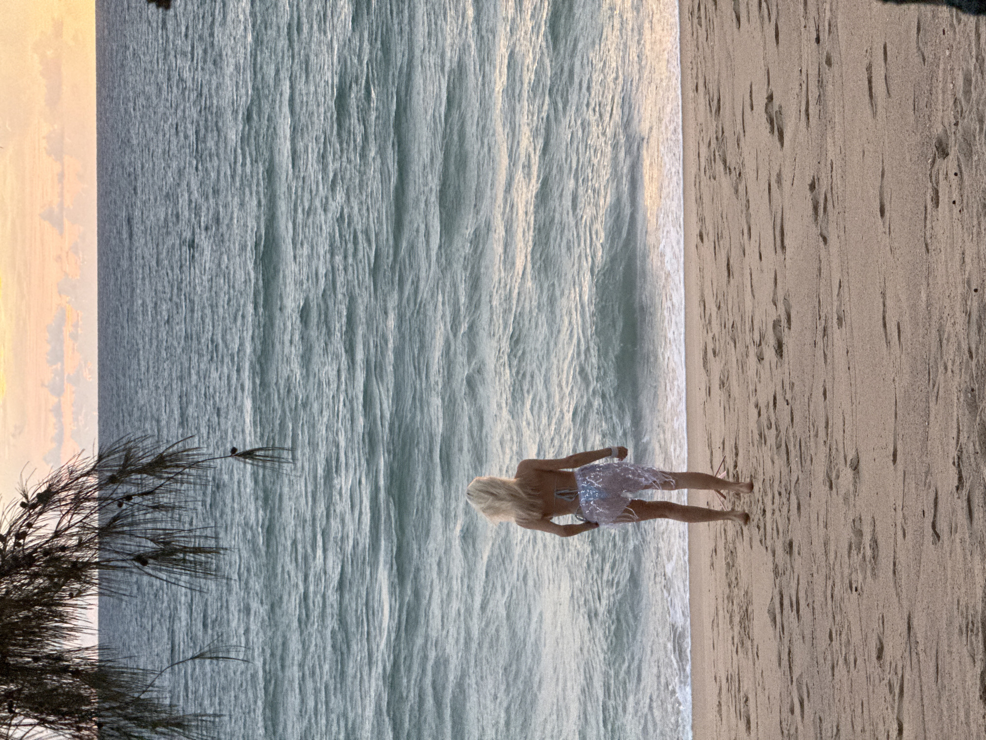 A full shot, taken from behind, shows a blonde woman standing on a sandy beach, facing the ocean at sunset. She is wearing a bikini and a sheer, shimmering cover-up. The water is a muted teal color with small waves, and the sky is a blend of orange and pink. A tree branch hangs into the frame from the top left corner. The sand is light brown and shows footprints.