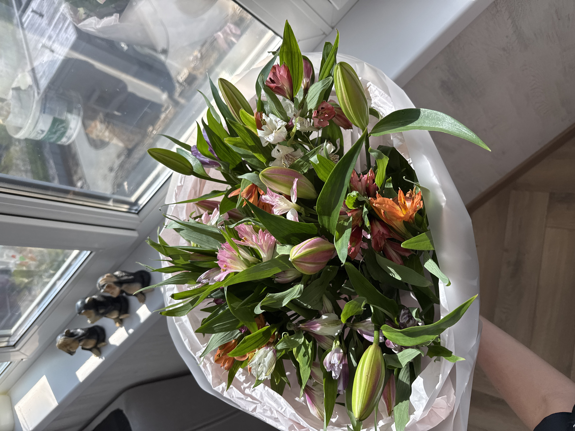 The image shows a bouquet of alstroemeria lilies held by a person in an indoor setting, likely near a window. The flowers are a mix of colors including orange, pink, white, and purple. They are interspersed with green leaves and some unopened buds. The bouquet is wrapped in white paper. The background includes a window with three small ceramic dogs sitting on the windowsill. The location is indicated as Unknown, Unknown.