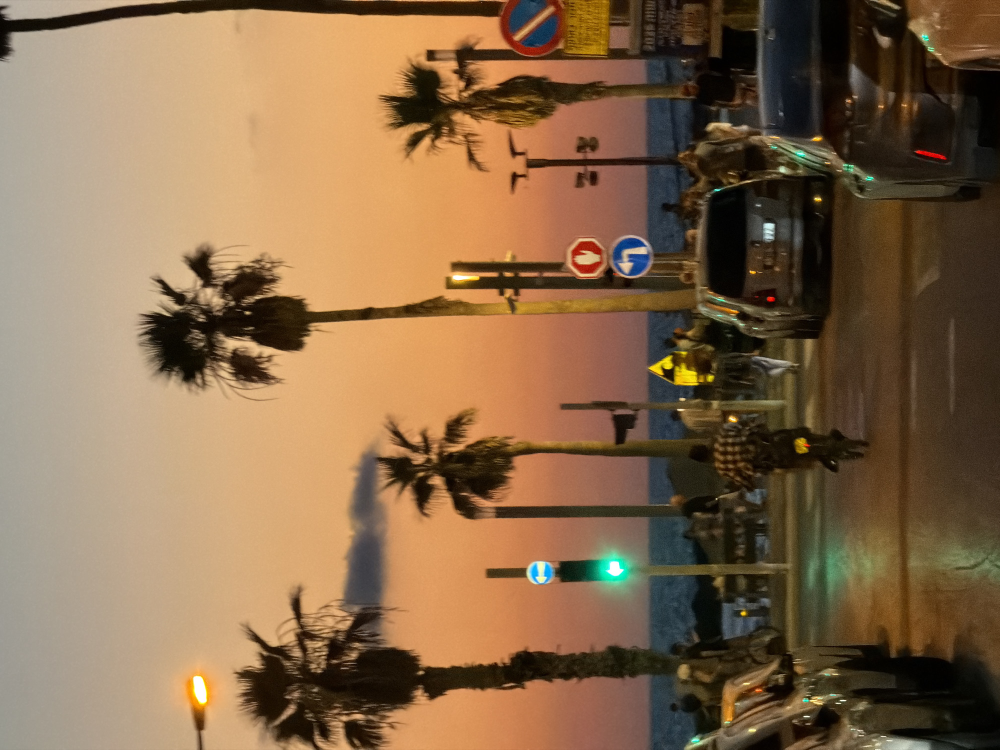 The image captures a street scene in Tel-Aviv, Israel, during twilight, with palm trees lining the road and the ocean visible in the background. A traffic light displays a green arrow pointing left, indicating traffic movement. Several cars are parked and moving on the street, with one vehicle in the foreground appearing to be a silver hatchback. A person is riding a scooter or bicycle in the middle of the road, wearing a plaid shirt. Various road signs, including directional and prohibitory signs, are visible. The sky is a gradient of orange and blue, characteristic of sunset. The overall atmosphere suggests a coastal city evening.