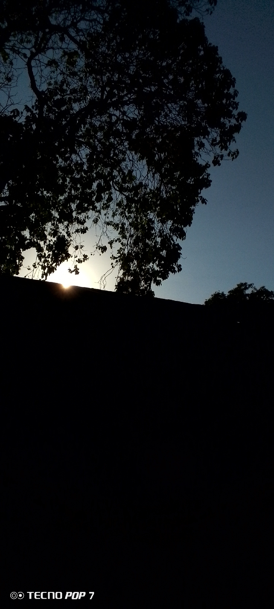 The image depicts a silhouette of a tree with dense foliage against a twilight sky, likely taken in Altagracia, Venezuela. The sun is partially visible, peeking over a dark, elevated mass, possibly a building or a hill. The foreground is mostly dark, rendering the lower portion of the image obscured. In the lower left corner, "TECNO POP 7" is visible, indicating the device used to capture the image.
