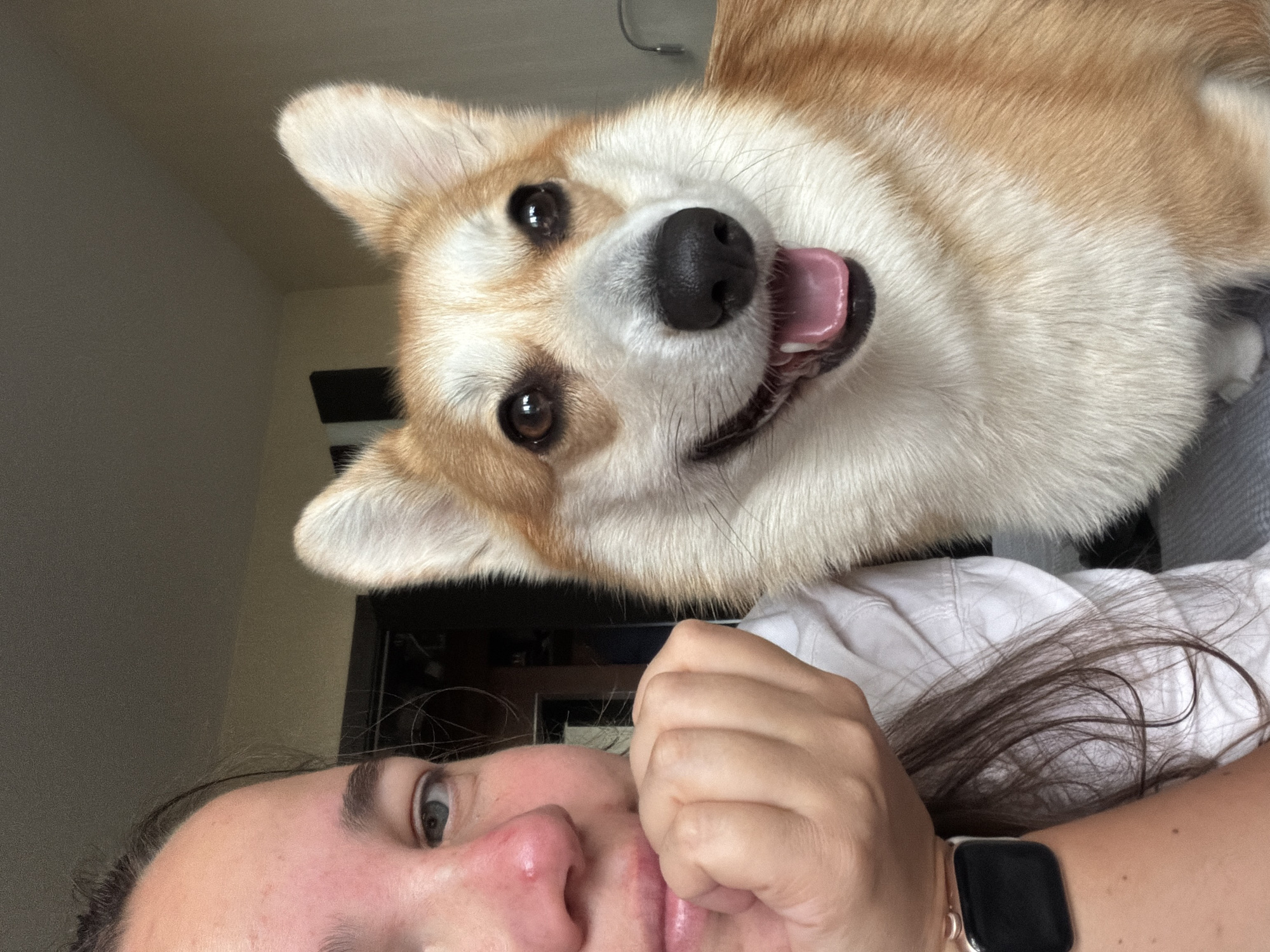 A woman and a Pembroke Welsh Corgi are captured in a close-up, overhead shot. The woman's face is partially visible in the foreground, with her eye looking towards the camera and her hand touching her face. Her brown hair is spread out on a white surface, which appears to be a bed or a blanket. She is wearing a smartwatch on her left wrist.
Dominating the upper portion of the image is the Corgi's face, looking down at the camera with its tongue out. The dog has distinctive tan and white fur, characteristic of the breed. The scene appears to be indoors, likely a bedroom, with a neutral-colored wall in the background and a hint of a doorway. The lighting suggests daytime. The overall mood is playful and affectionate, with the Corgi's expression conveying excitement and the woman's pose suggesting comfort and closeness.
There is no visible text in the image. The location context provided is Chaikovsky, Russia.