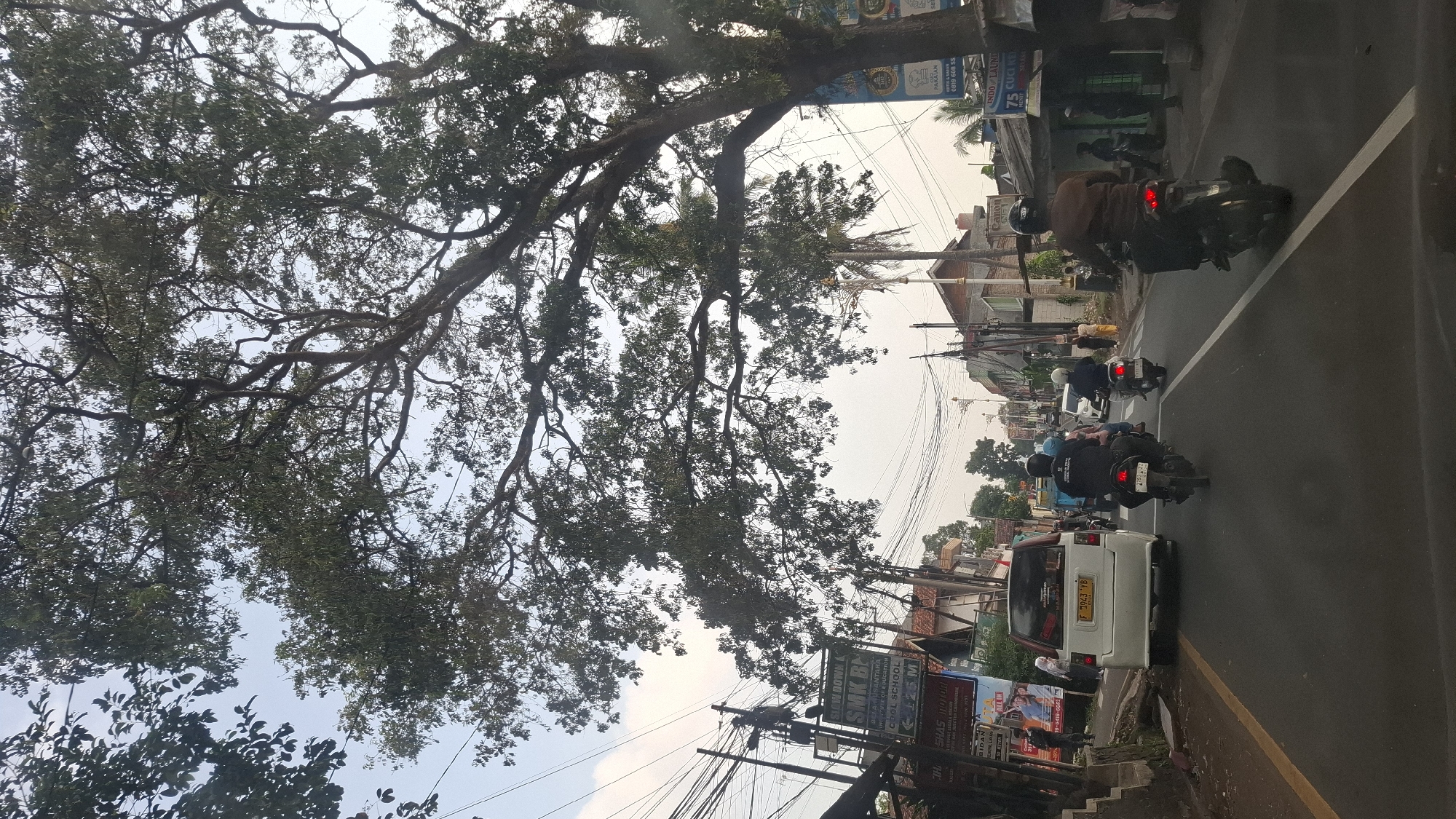 The image captures a street scene in Cilaku, Indonesia, on an overcast day. A large tree with dense foliage dominates the upper portion of the frame, its branches extending over the roadway and obscuring the sky. The road is paved and appears to be a two-lane street with white lane markings. Several vehicles are present, including a white van with license plate F 7943 YB, and multiple motorcycles. People are seen riding on the motorcycles and walking on the sidewalks. The buildings lining the street are typical of a commercial or residential area, with shops and businesses visible. Power lines are strung across poles, suggesting a developed urban environment. The overall atmosphere is that of a busy street during daytime hours, with traffic and pedestrian activity.