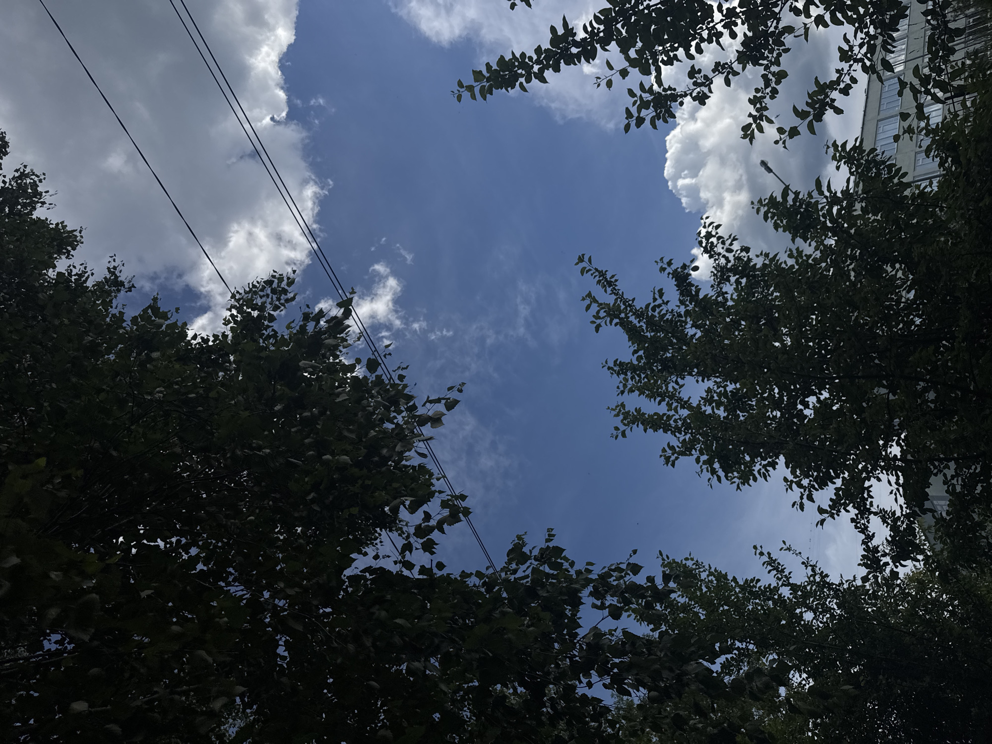 The image, taken in Chaikovsky, Russia, captures a view looking upwards through the branches of trees towards a blue sky dotted with white clouds. Two dark electrical wires stretch diagonally across the upper right portion of the frame. In the lower right corner, a portion of a multi-story building with several windows is visible, partially obscured by the foliage of trees. The lighting suggests it is daytime, with sunlight illuminating the clouds and the sky, while the foreground trees are in shadow.
