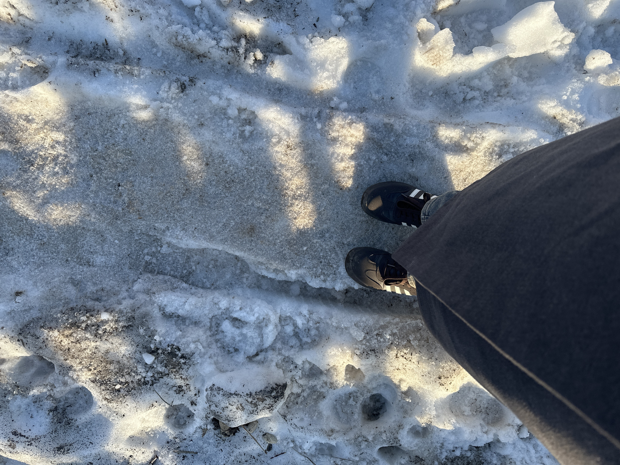 The image shows a person standing on a partially snow-covered surface, likely a sidewalk or path. The person is wearing dark-colored Adidas sneakers and dark gray pants. The ground consists of compacted snow and ice with some exposed dirt and debris. Sunlight is filtering through trees or other overhead structures, creating shadows on the ground. The location is possibly in Chaikovsky, Russia.