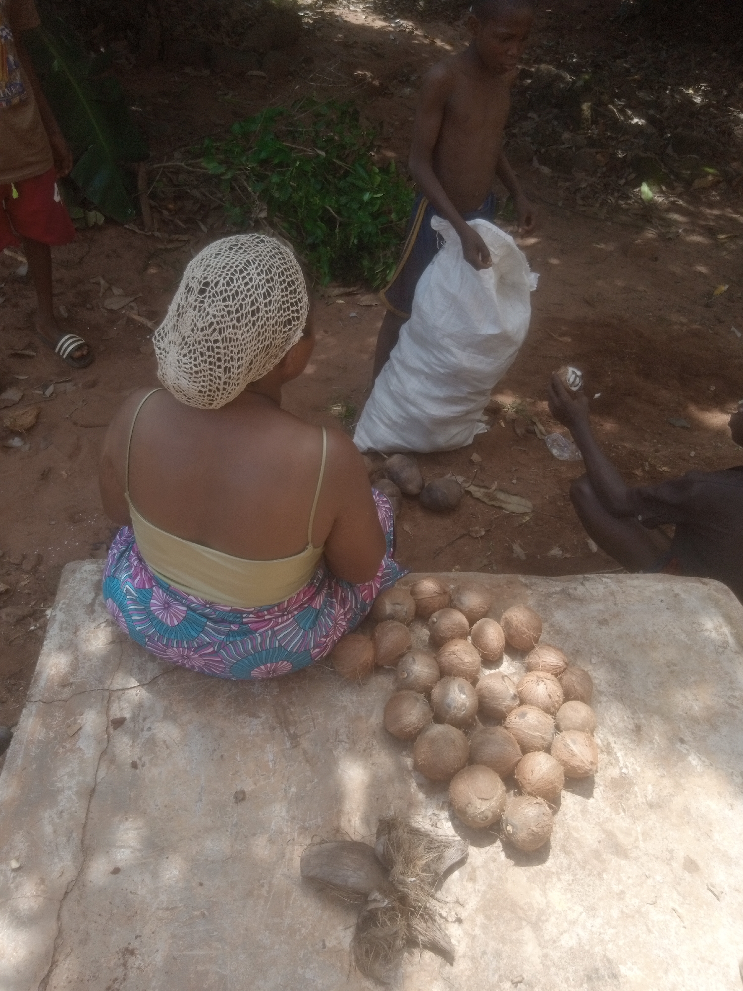 In Ukwu-Abwa, Nigeria, a woman with a tan back and a white netted head covering sits on a concrete surface. She wears a light yellow top and a patterned skirt with blue and pink floral designs. In front of her are approximately 25 coconuts. A young shirtless boy holds a white sack nearby, and another person is seated to the right, their arm raised. The ground is dirt. There is a plant to the upper left and a bit of debris on the bottom left corner.