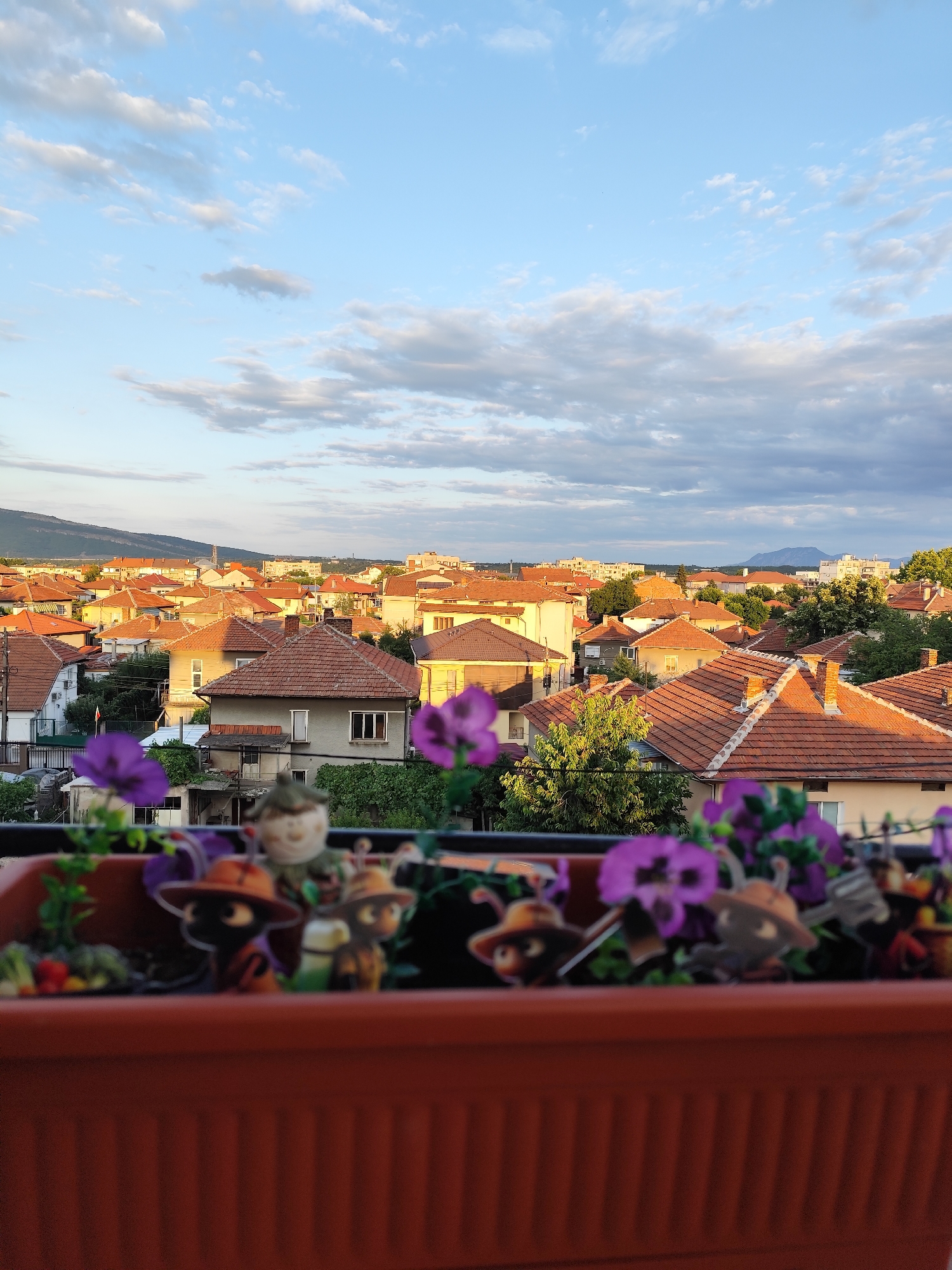 The image is a vertical, eye-level shot of a residential area at sunset. In the foreground, a brown planter box contains several small, cartoonish figures, including what appears to be a gnome-like figure and two bee-like characters wearing hats. Purple flowers are also visible in the planter. Beyond the planter, a dense cluster of houses with orange tile roofs fills the mid-ground. The houses are of various sizes and designs, with some featuring visible chimneys and satellite dishes. Trees are interspersed among the buildings, and a street with parked cars can be seen in the lower left quadrant. In the background, a mountainous landscape stretches across the horizon under a sky filled with soft, blue and white clouds, illuminated by the warm light of the setting sun. The scene is located in the city of Montana, Bulgaria, and depicts a typical sunset view over its rooftops.