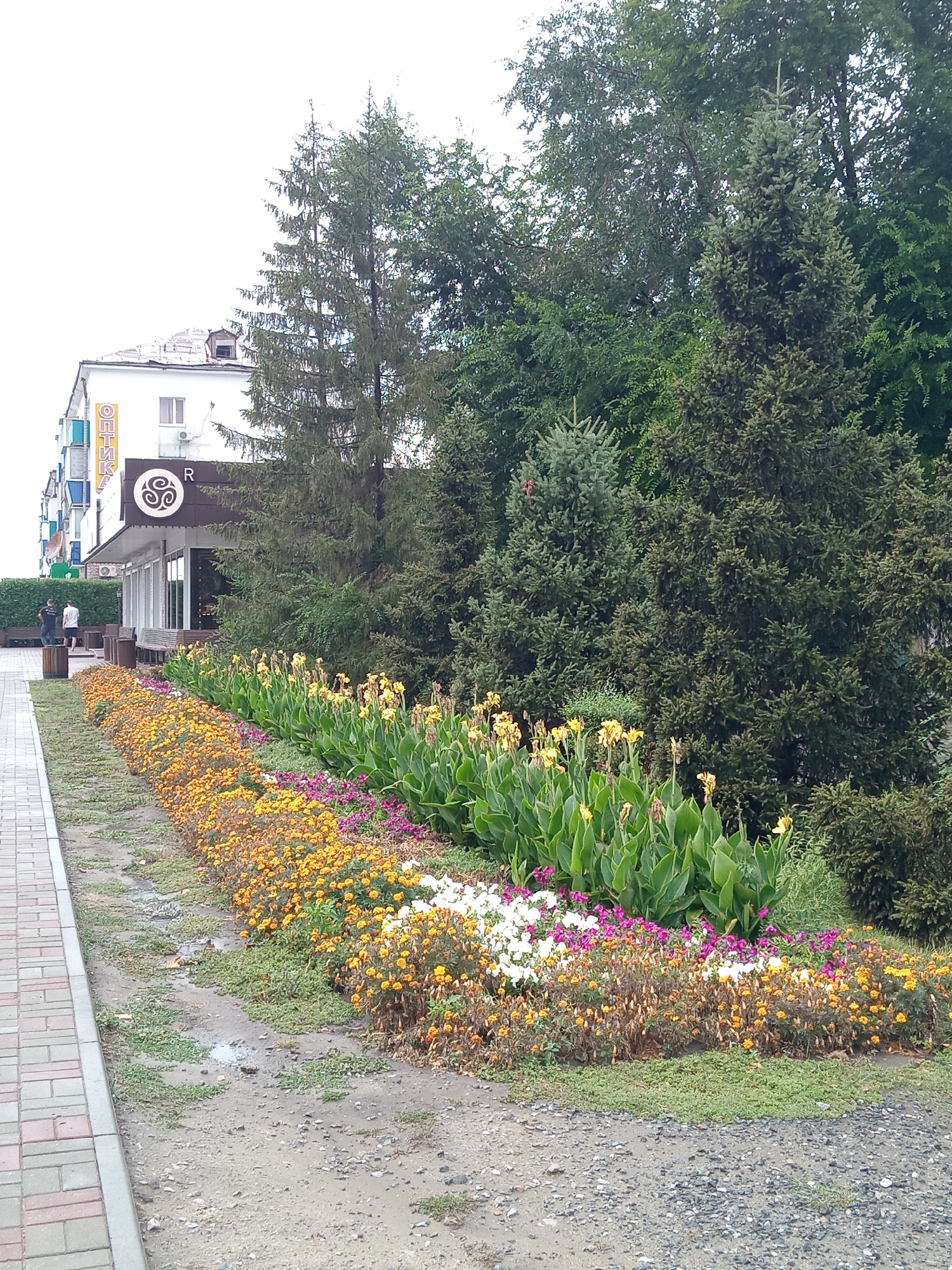 The image depicts a street-level view in Rudny, Kazakhstan, featuring a building with a sign that appears to read "OPTICA" in Cyrillic script and a circular logo. In front of the building, a long, decorative flower bed runs along the sidewalk. The flower bed contains a variety of plants, including tall, leafy green plants with yellow flowers, and rows of smaller, colorful flowers in shades of yellow, orange, white, and purple. The sidewalk is paved with brick-like stones and bordered by a curb. Beyond the flower bed, a gravelly area with some sparse greenery and puddles of water is visible. A line of trees, including evergreens and deciduous trees, forms a backdrop to the scene. Two men are standing near the building entrance, one wearing a dark shirt and the other a white shirt. Outdoor benches and trash receptacles are placed along the sidewalk. The sky is overcast.